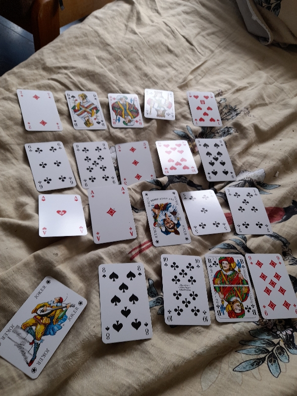 Image 20220504_121603_600x800