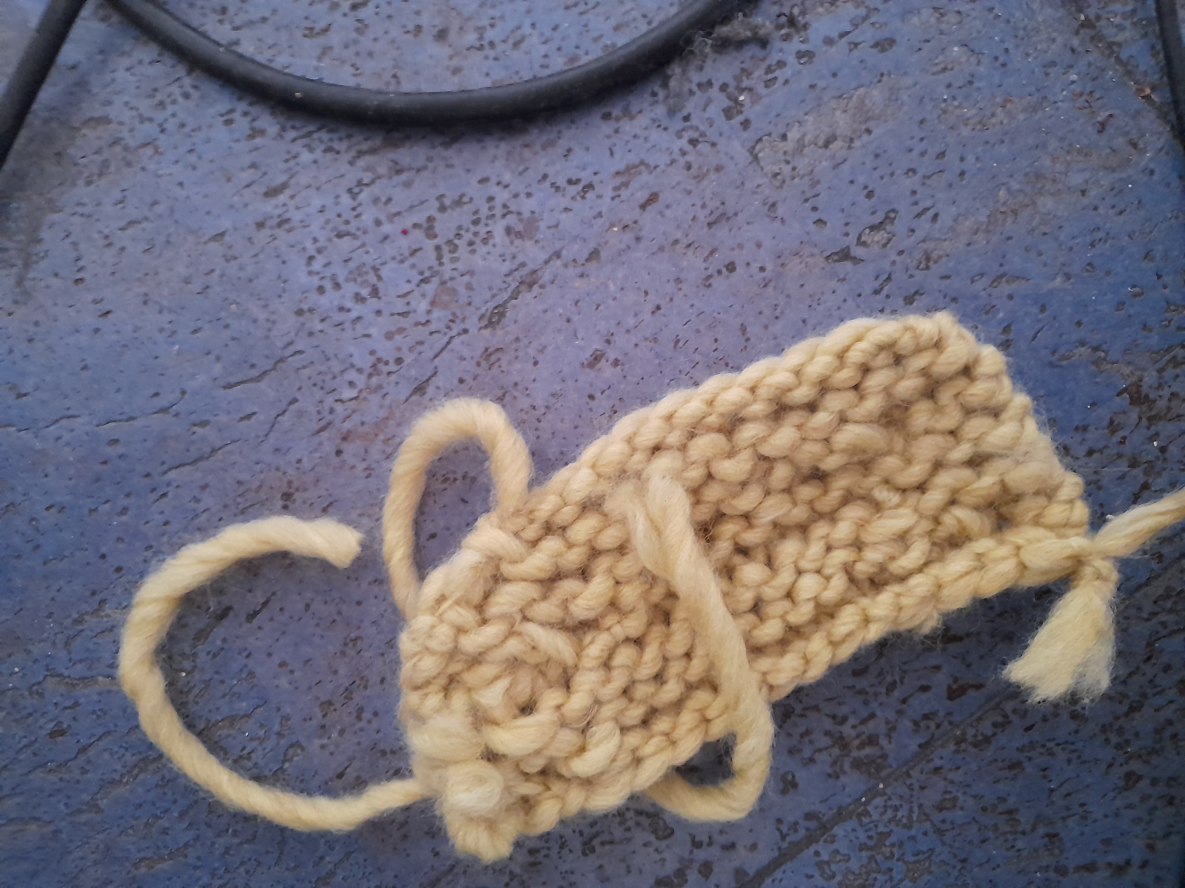 Image 20211204_113651