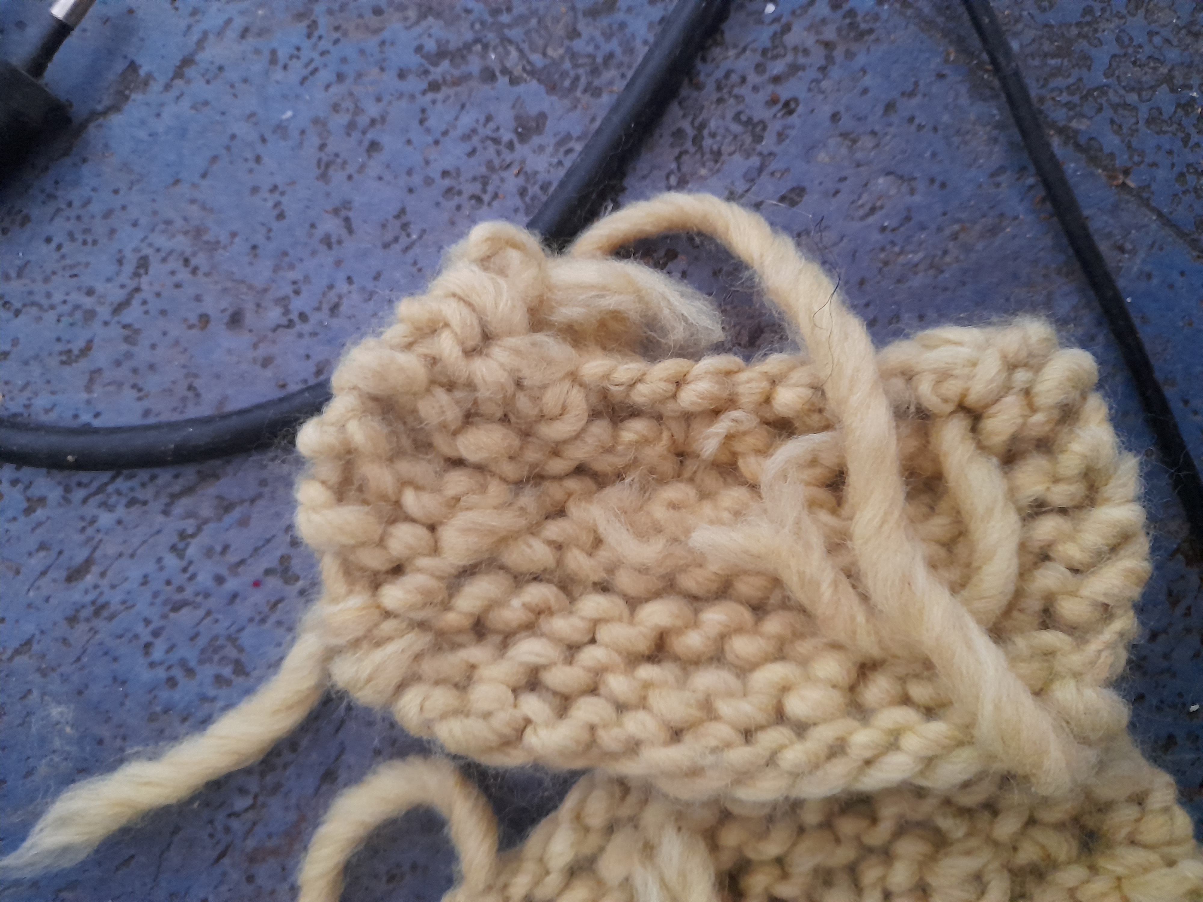 Image 20211204_113700