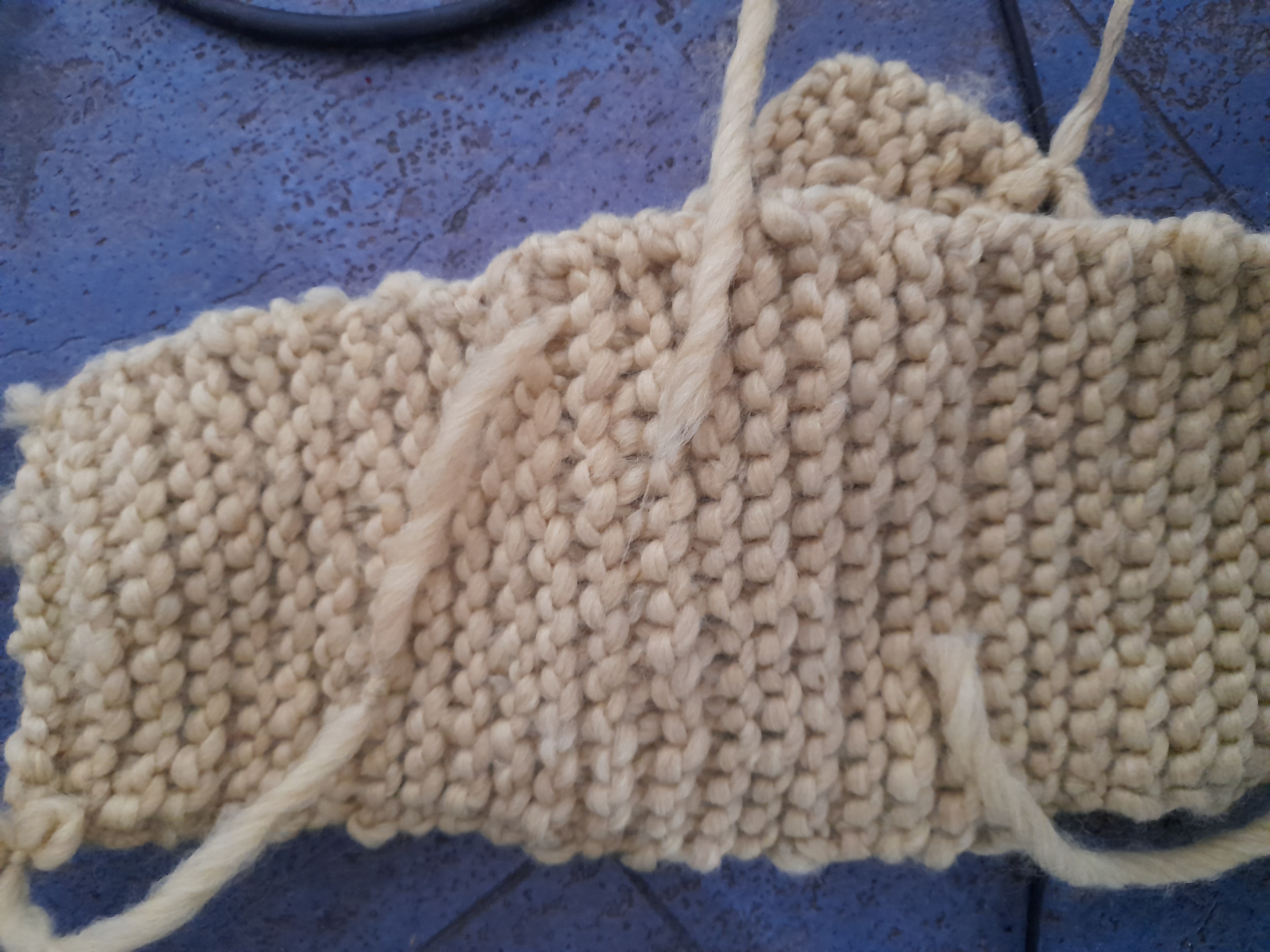 Image 20211204_113711