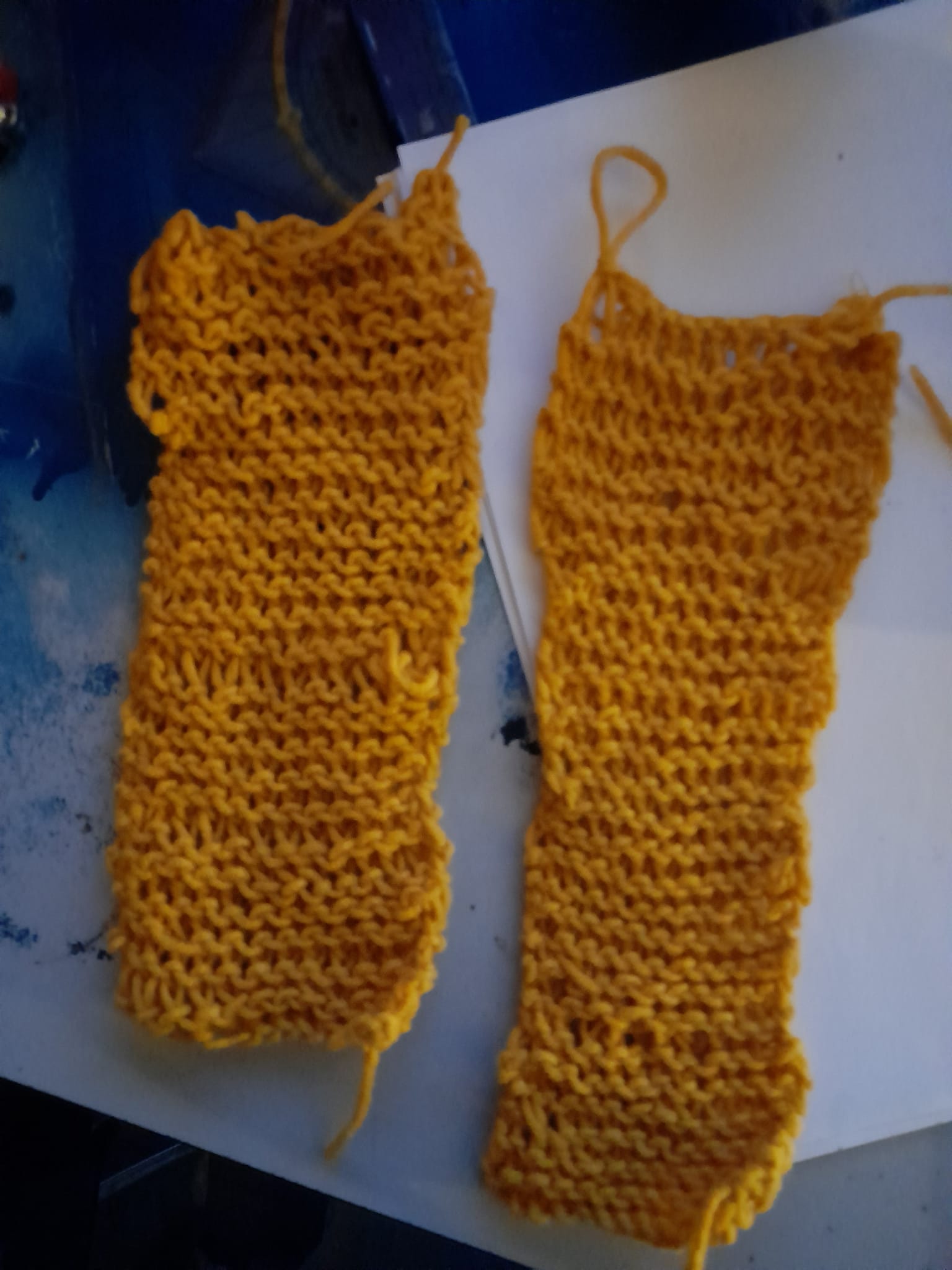 Image 259408728_1344761739306823_2757262619664745874_n