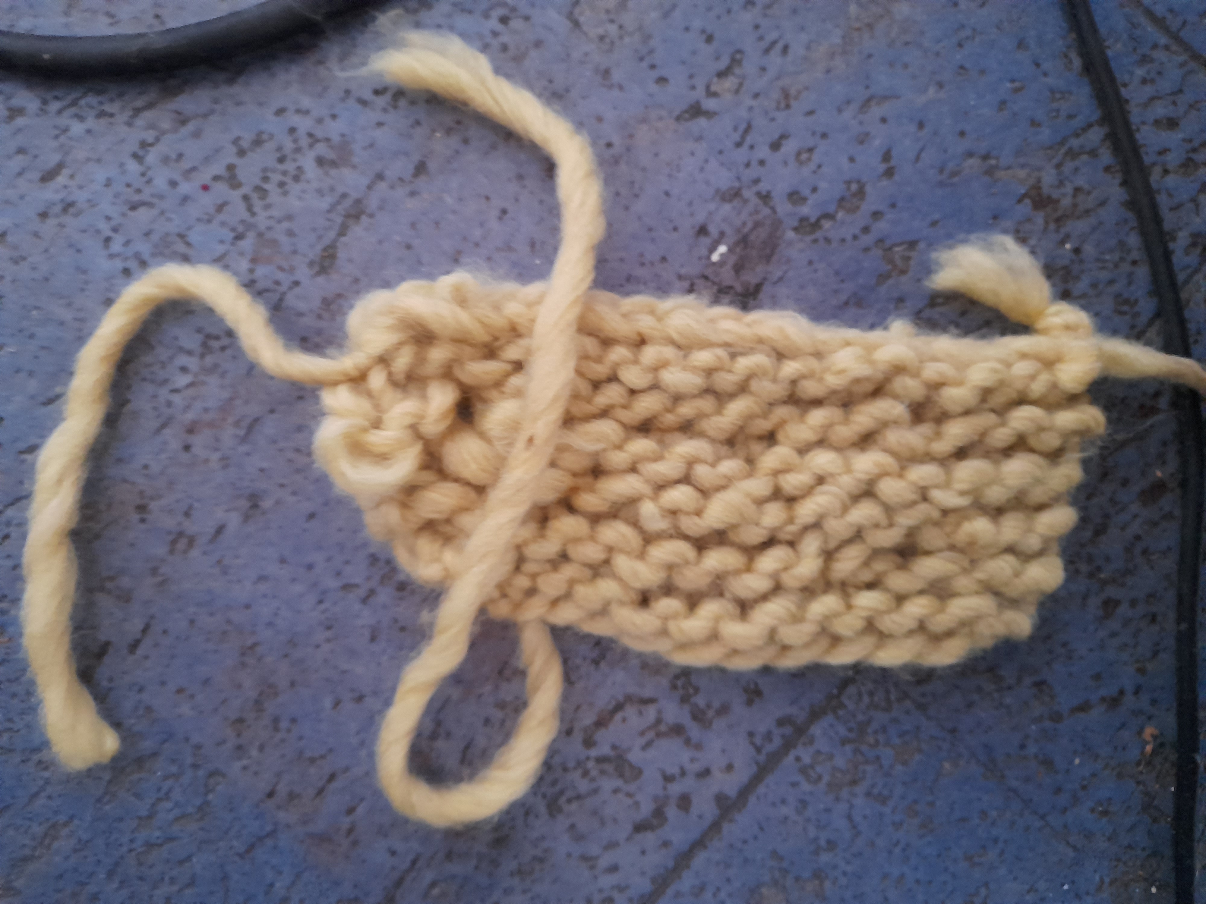 Image 20211204_113648