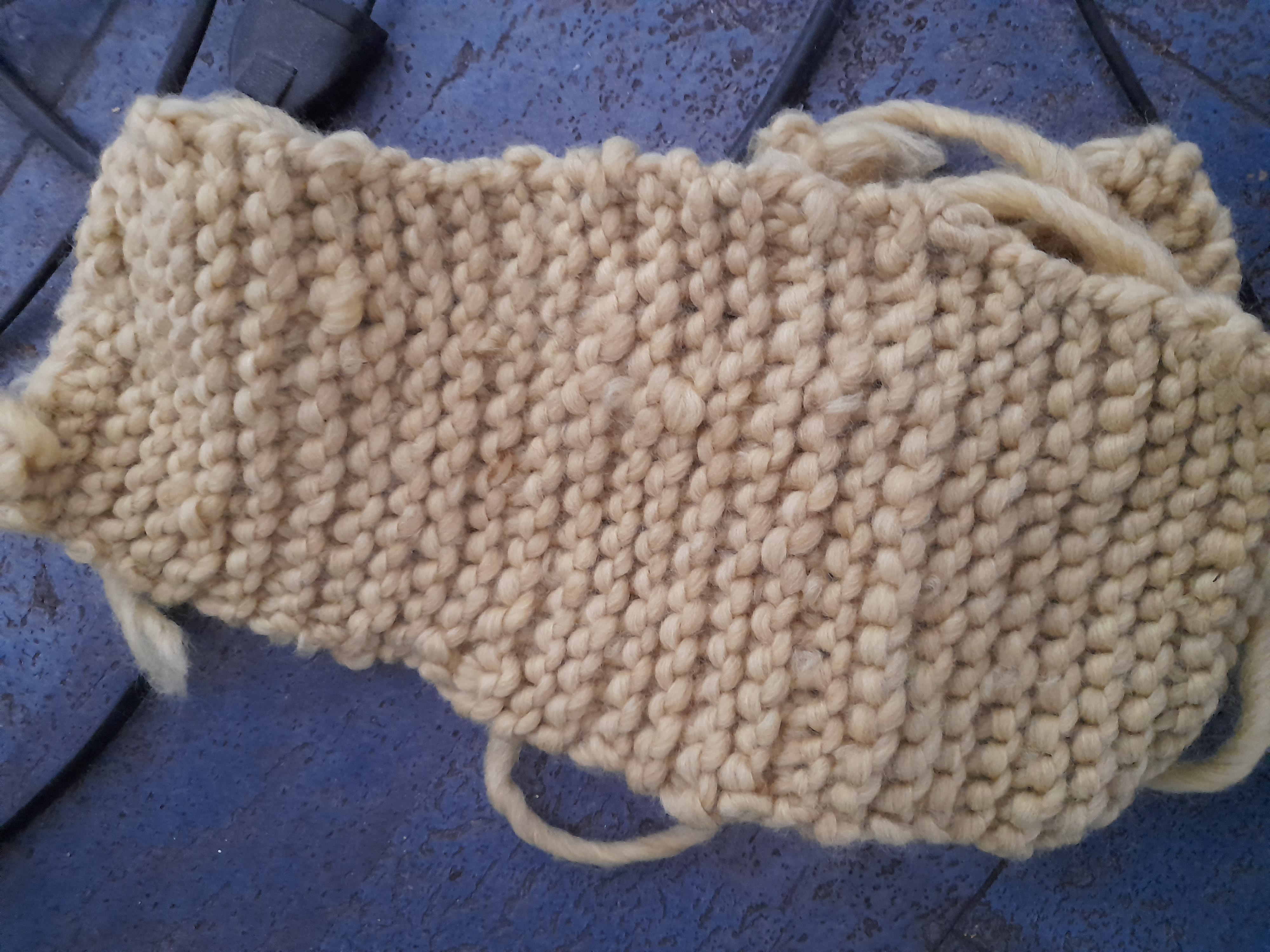 Image 20211204_113706