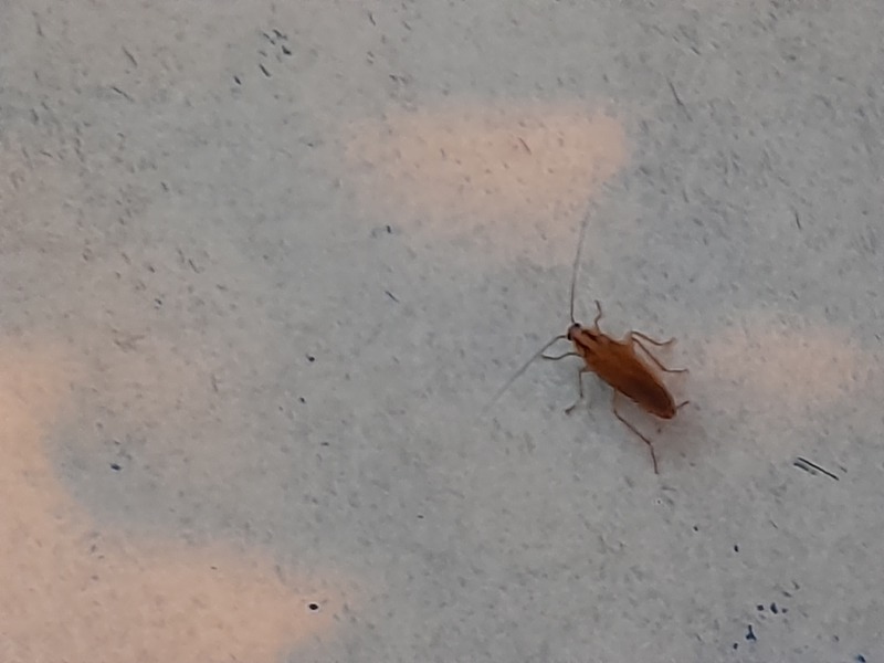 Image 20231028_005846