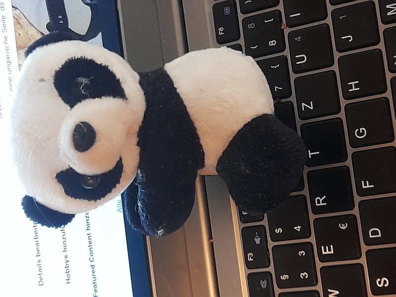 Image 20231202_112348