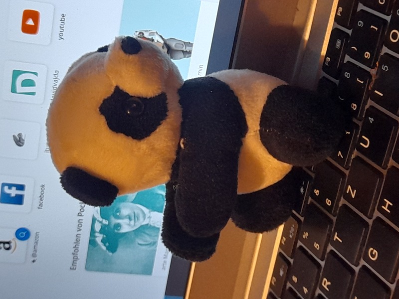 Image 20231202_155532