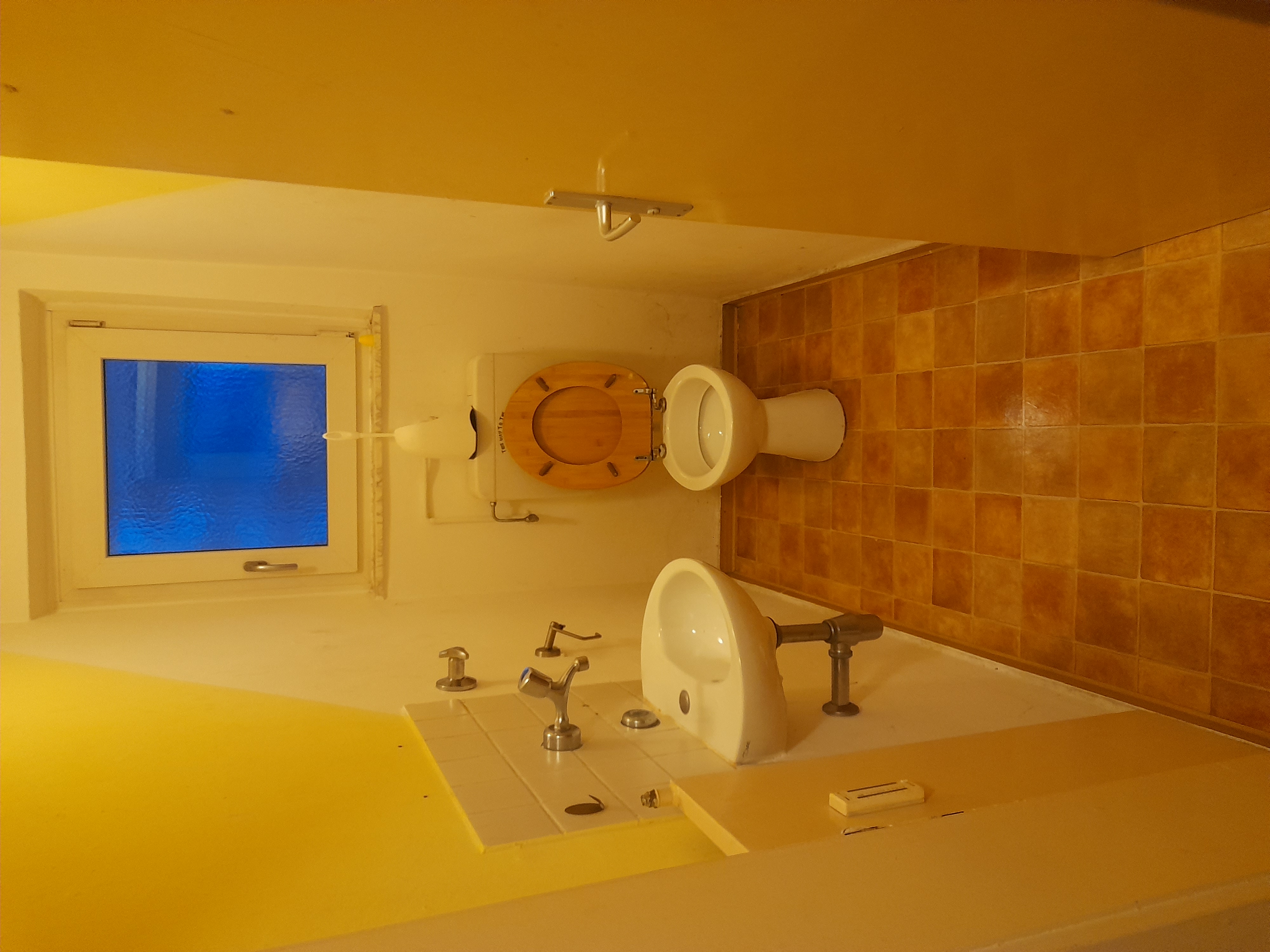 Image 20240228_072311