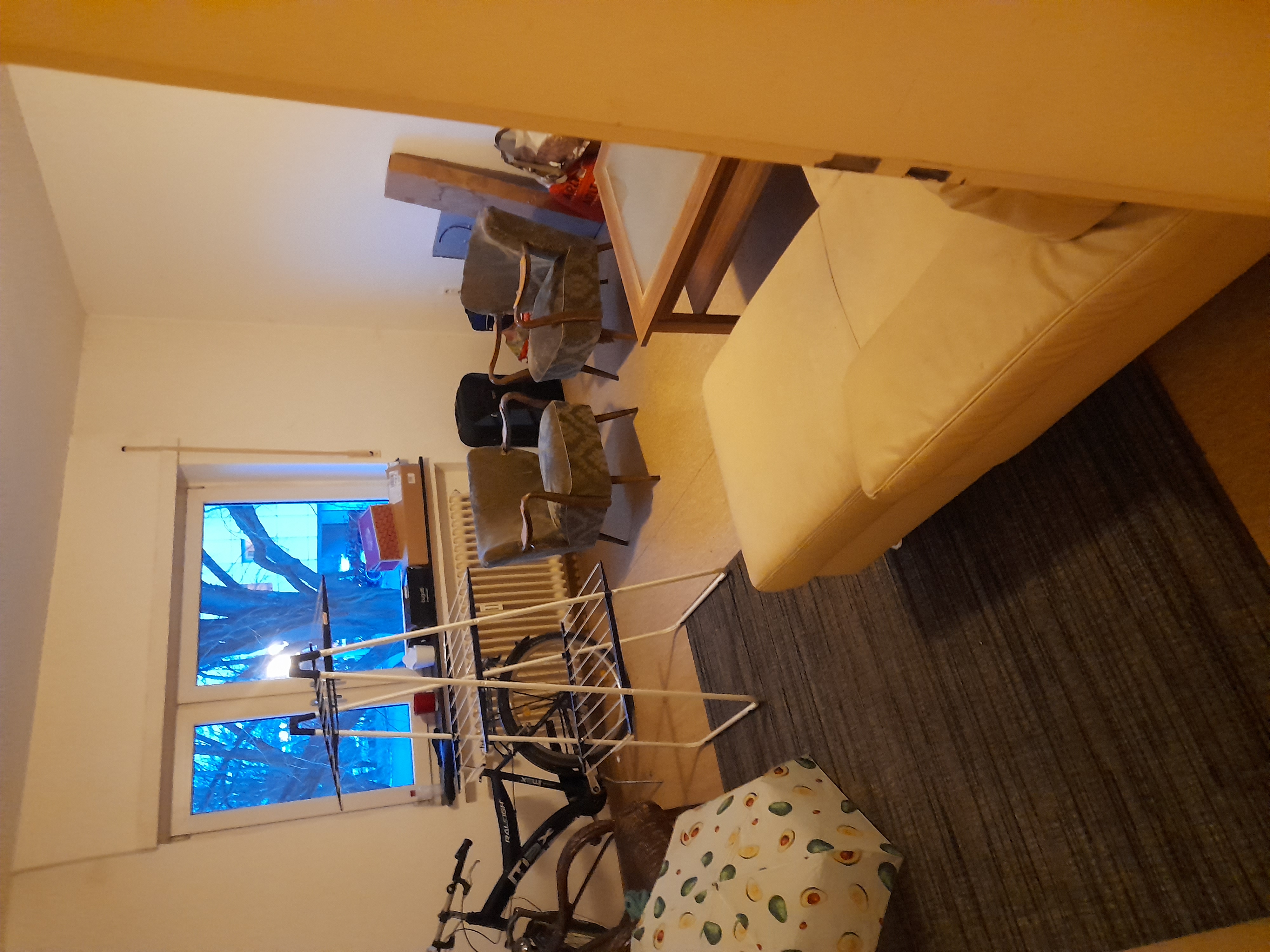 Image 20240228_072316