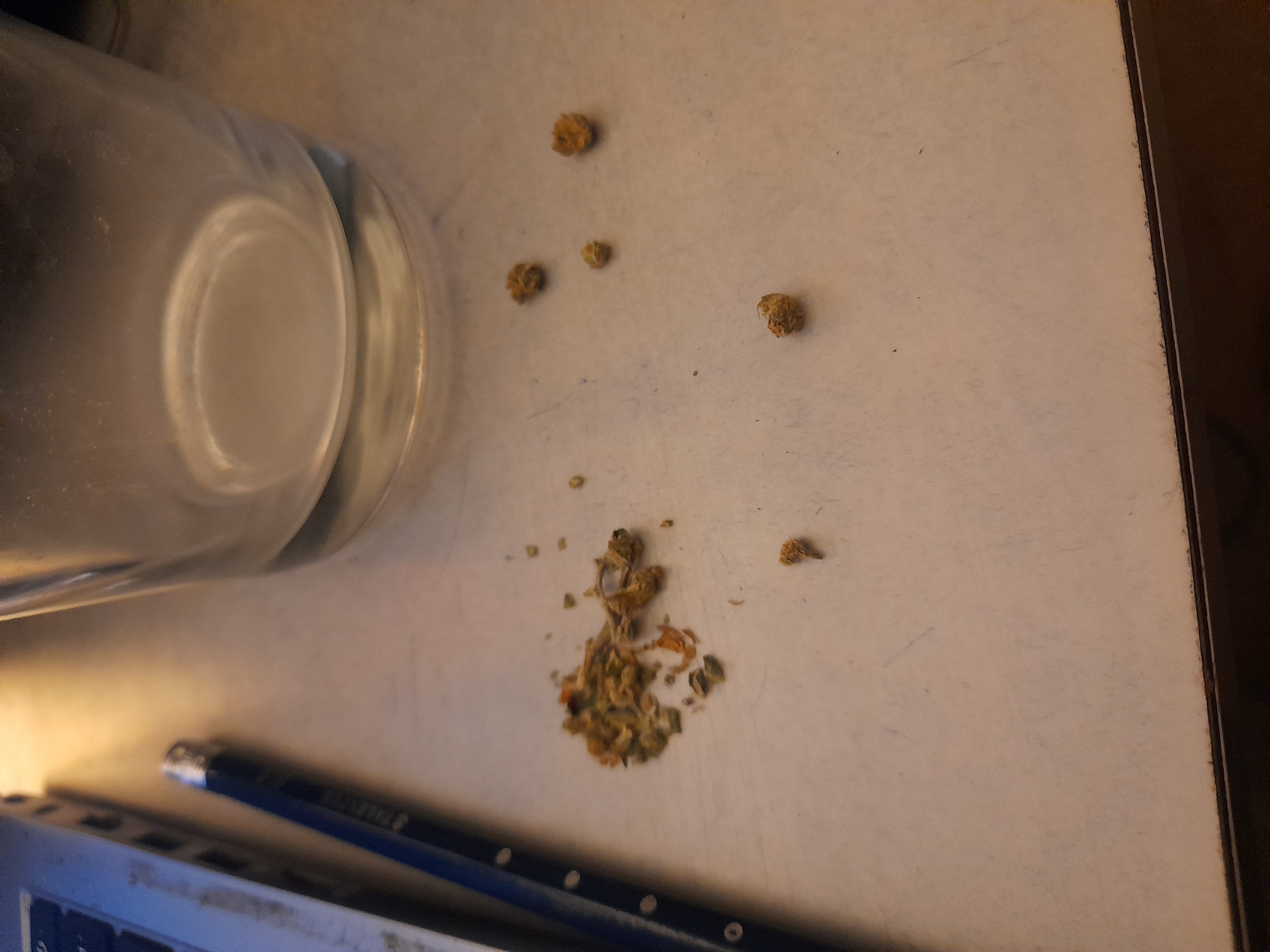 Image 20240314_193016