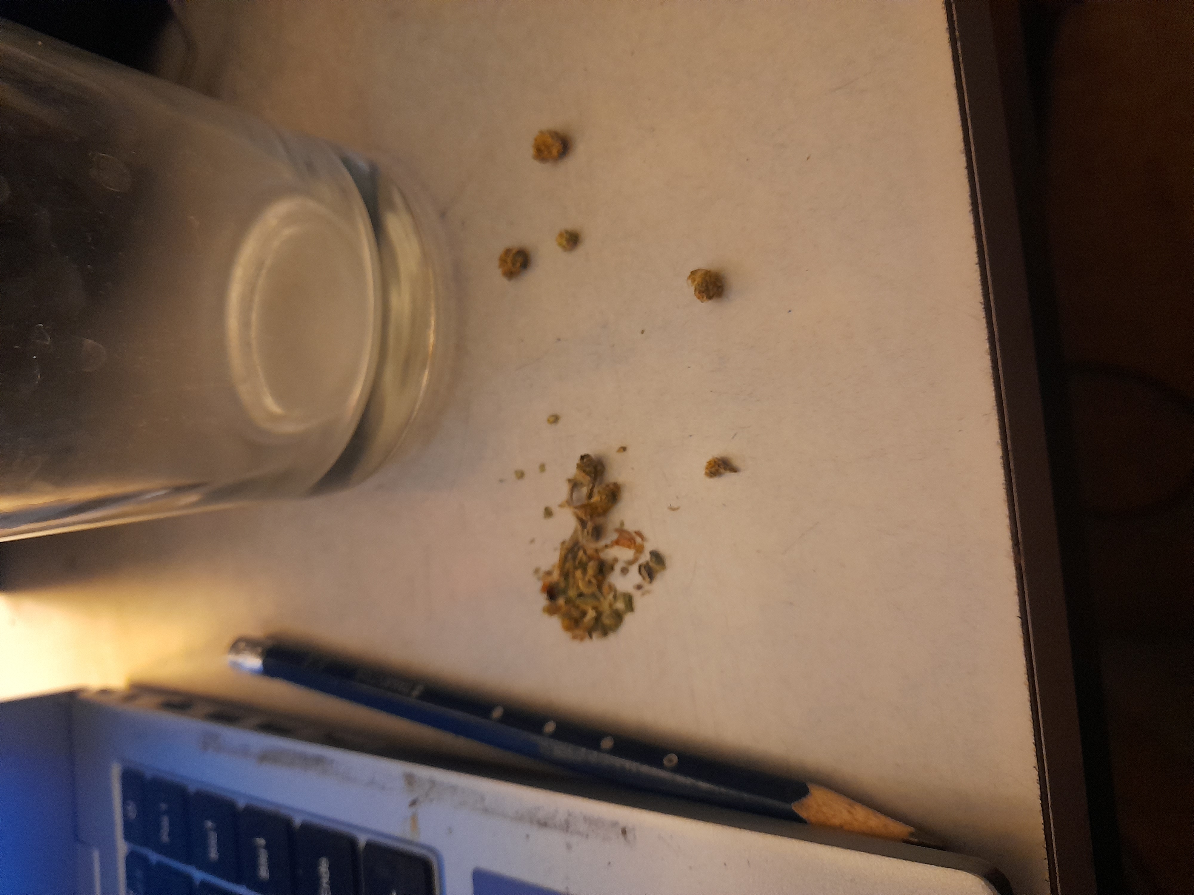 Image 20240314_193020