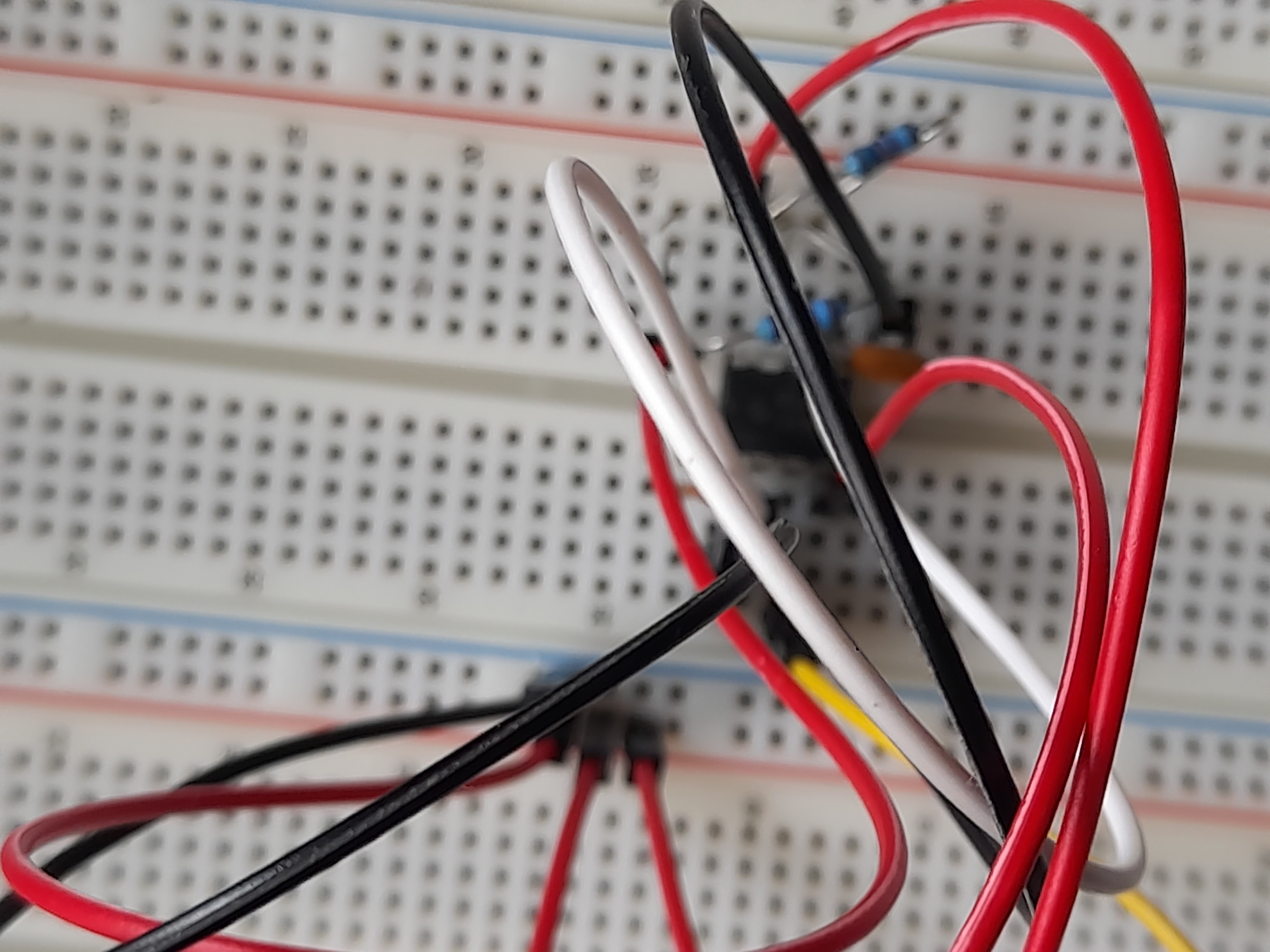 Image 20240315_132354