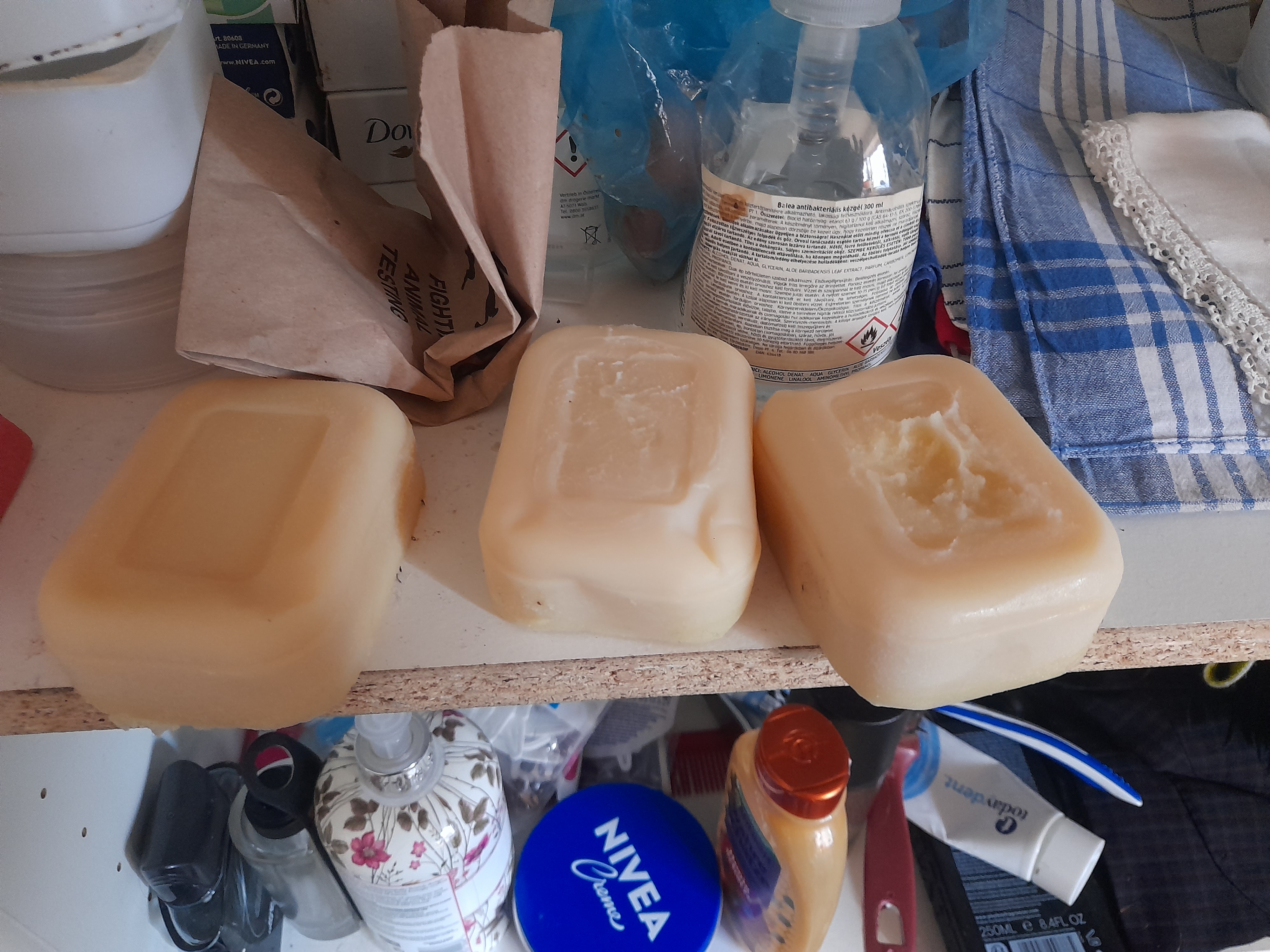 Image 20240322_081716