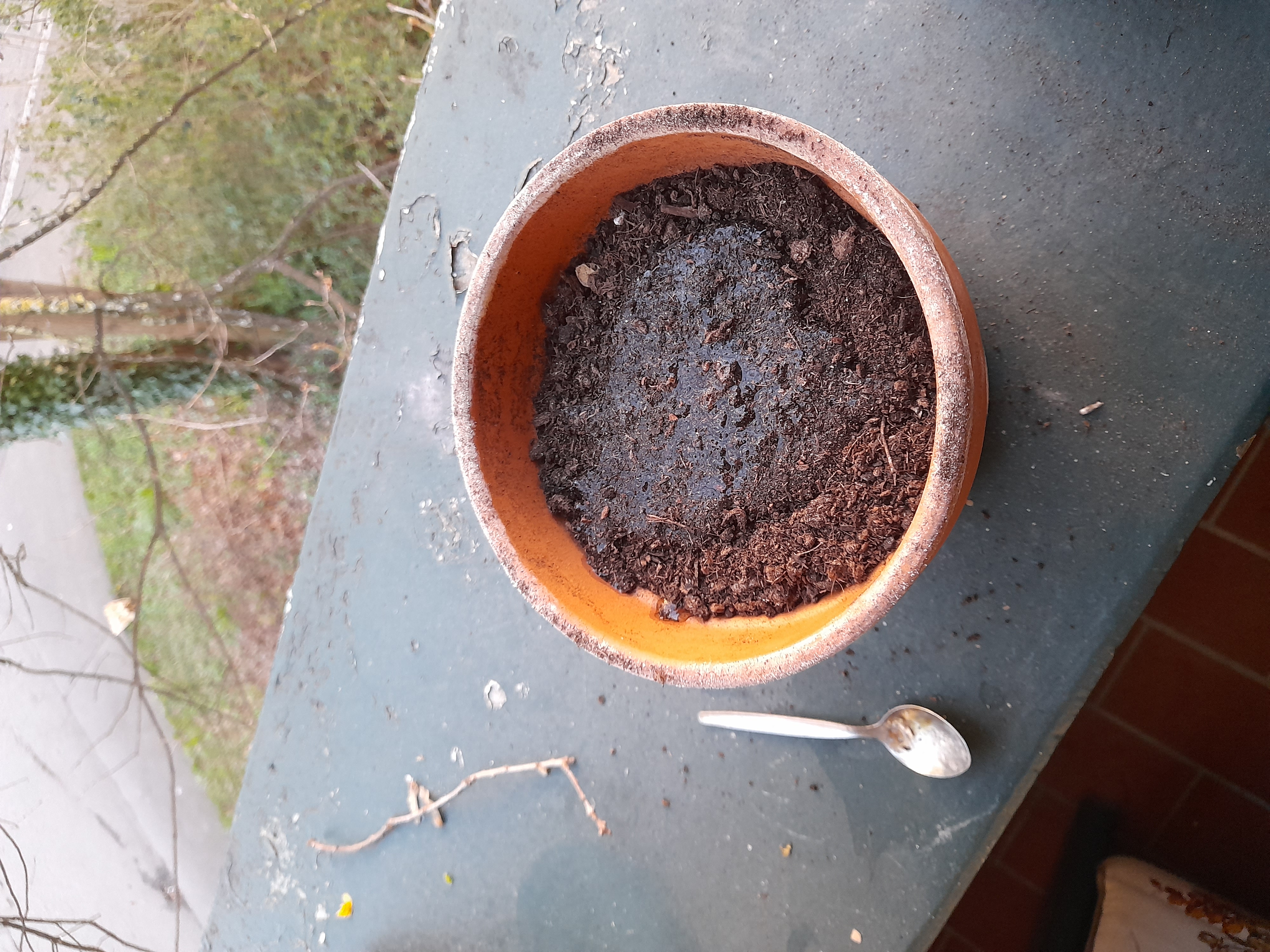 Image 20240328_182418