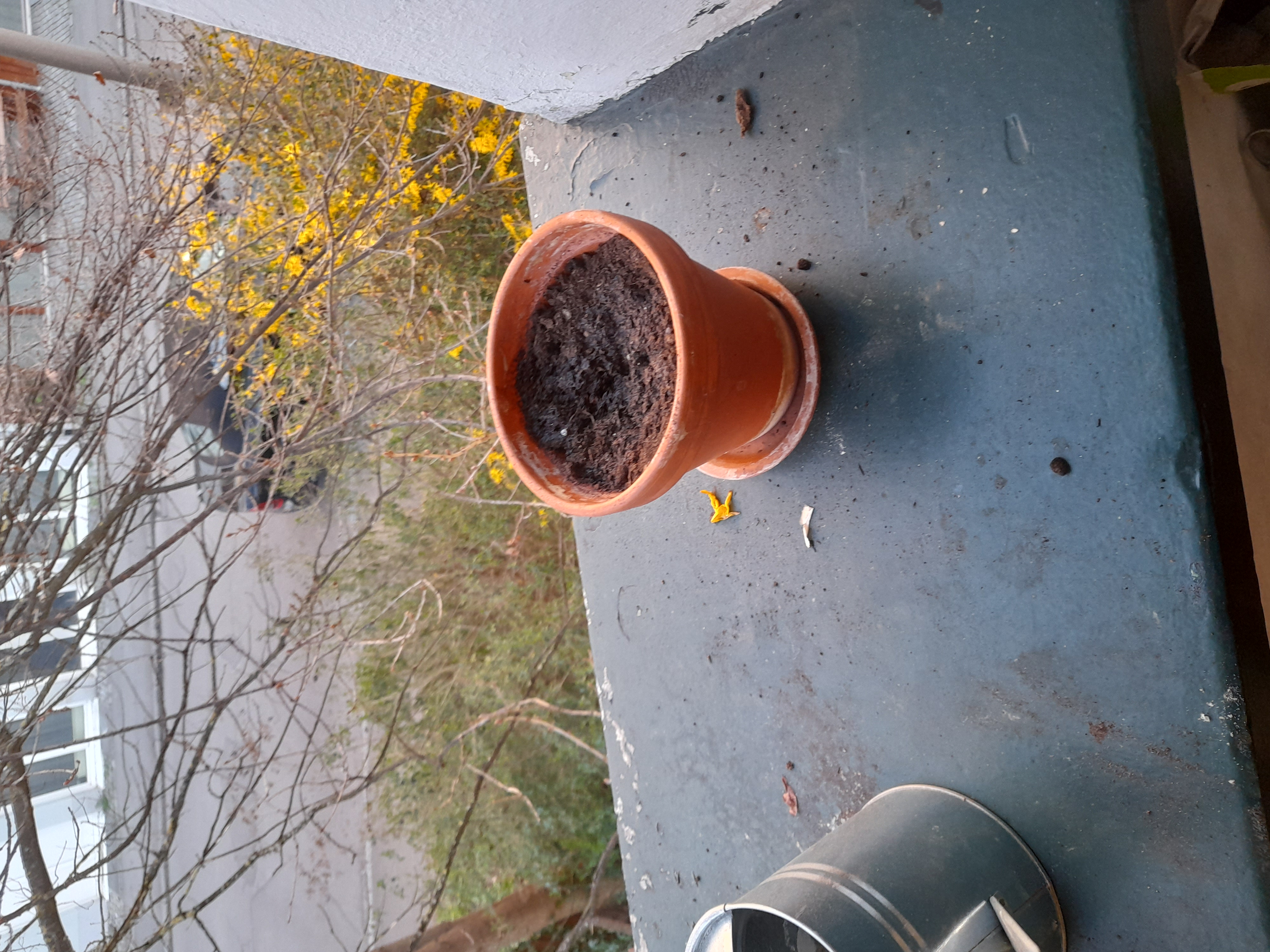 Image 20240328_182421