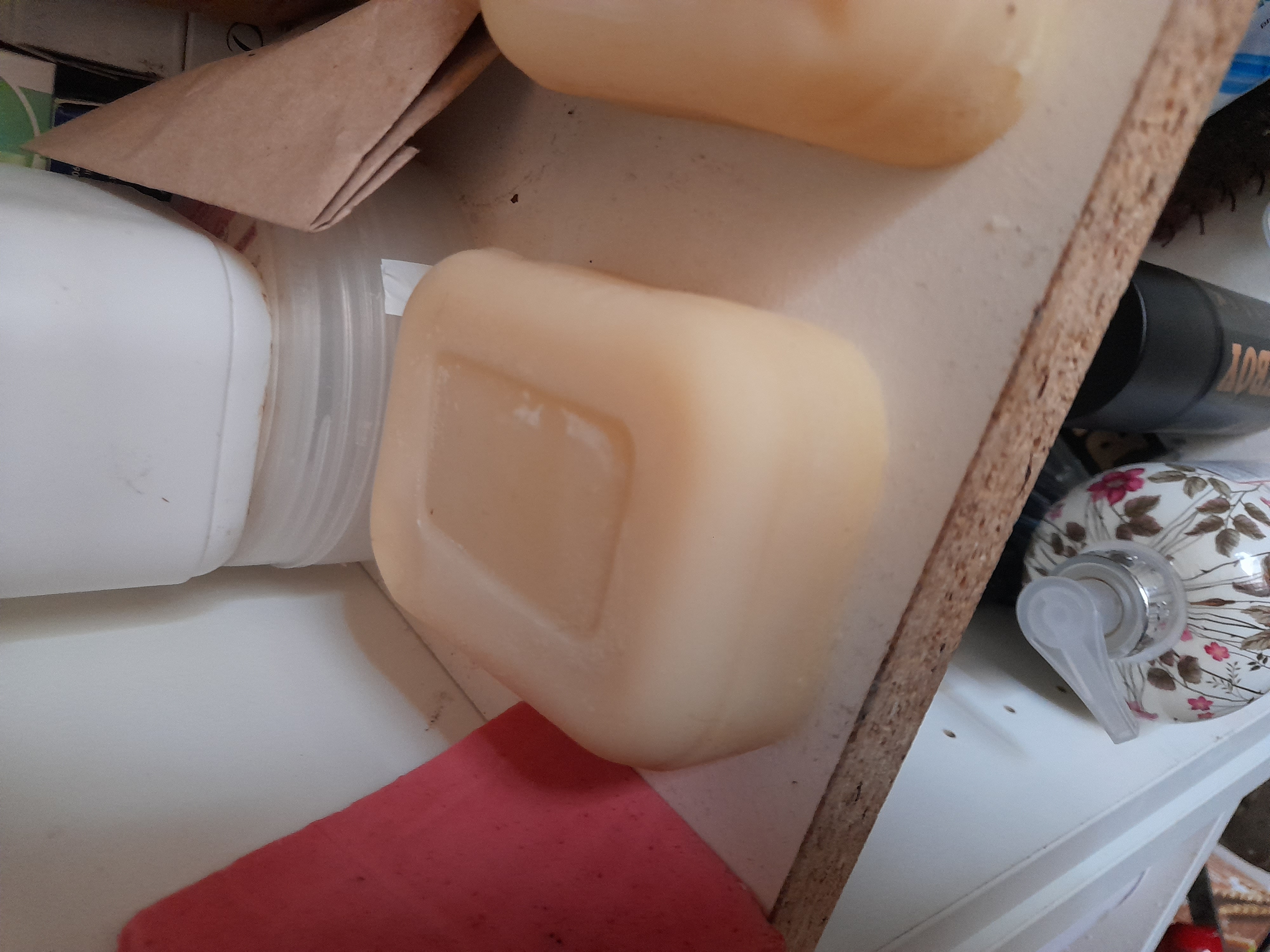 Image 20240329_171455