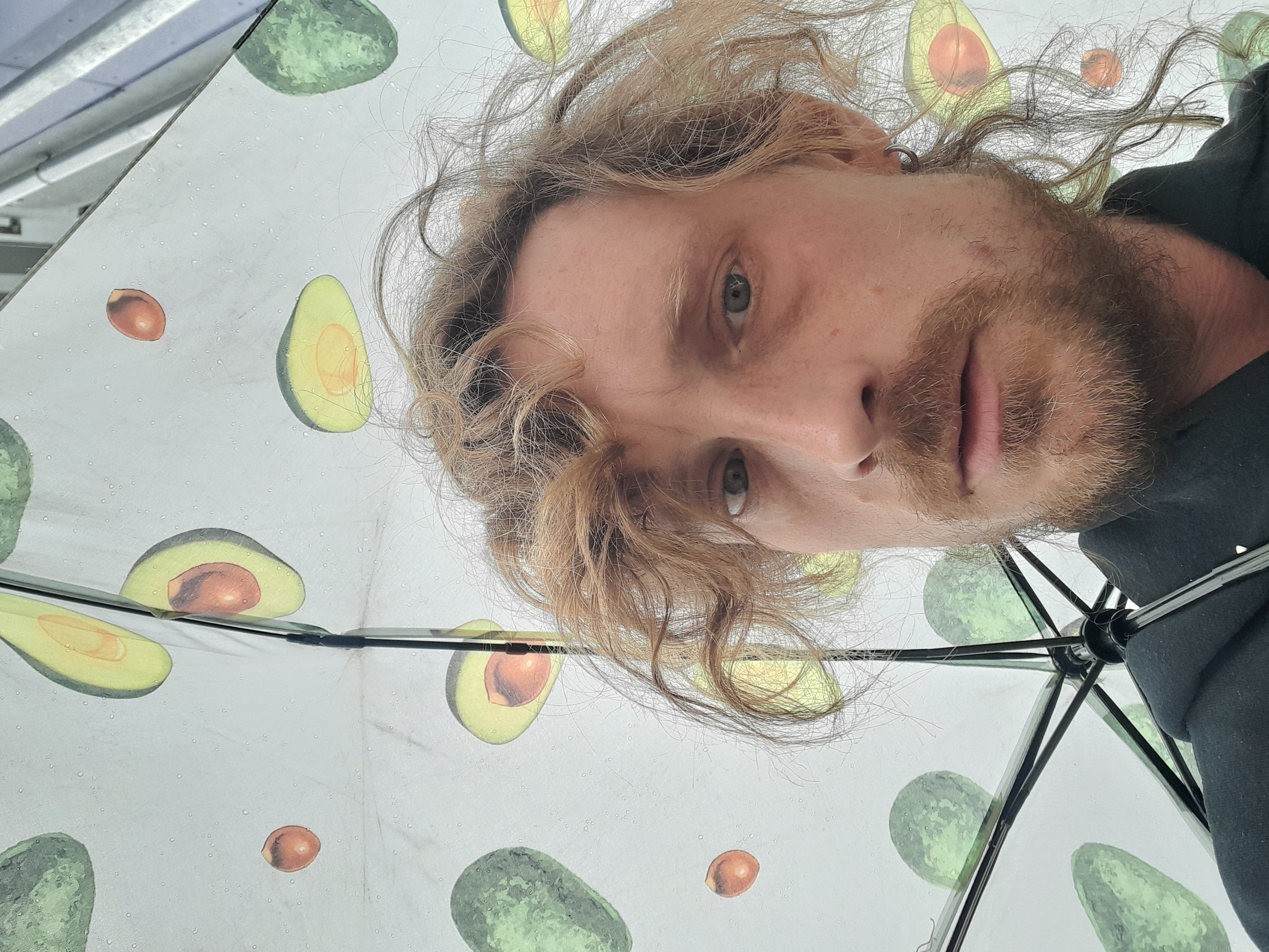 Image 20240404_133610