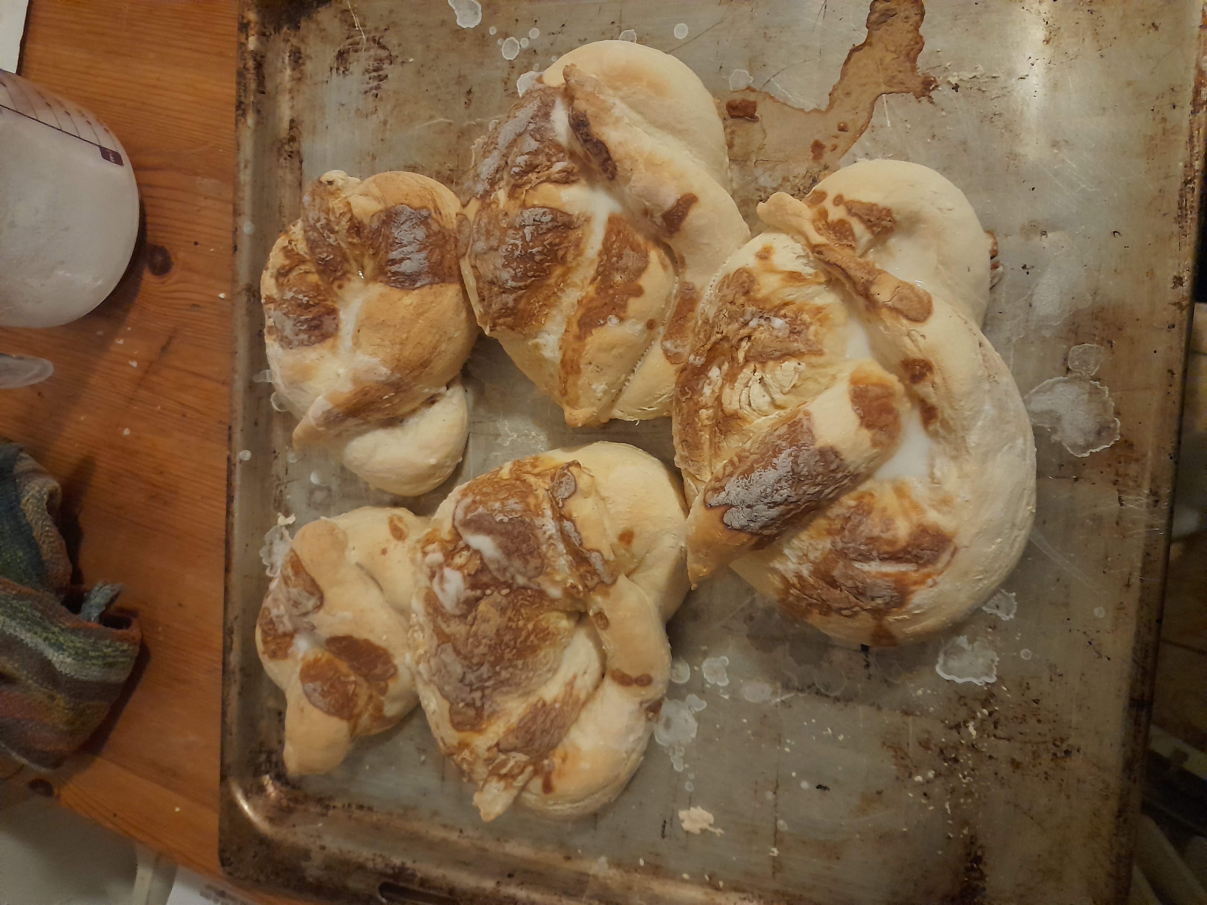 Image 20240407_050218