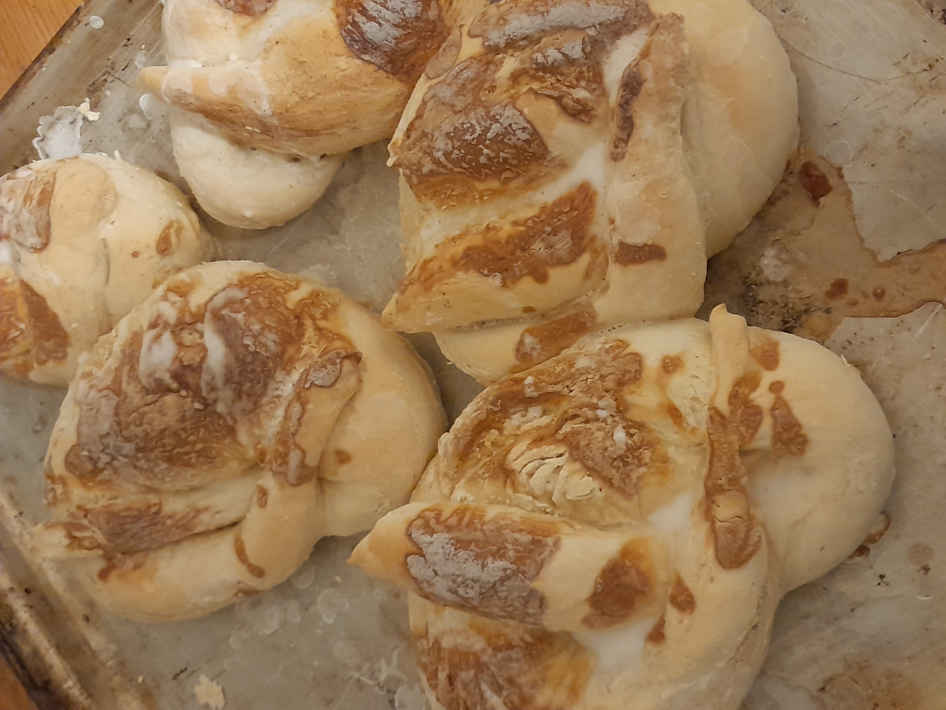 Image 20240407_050222