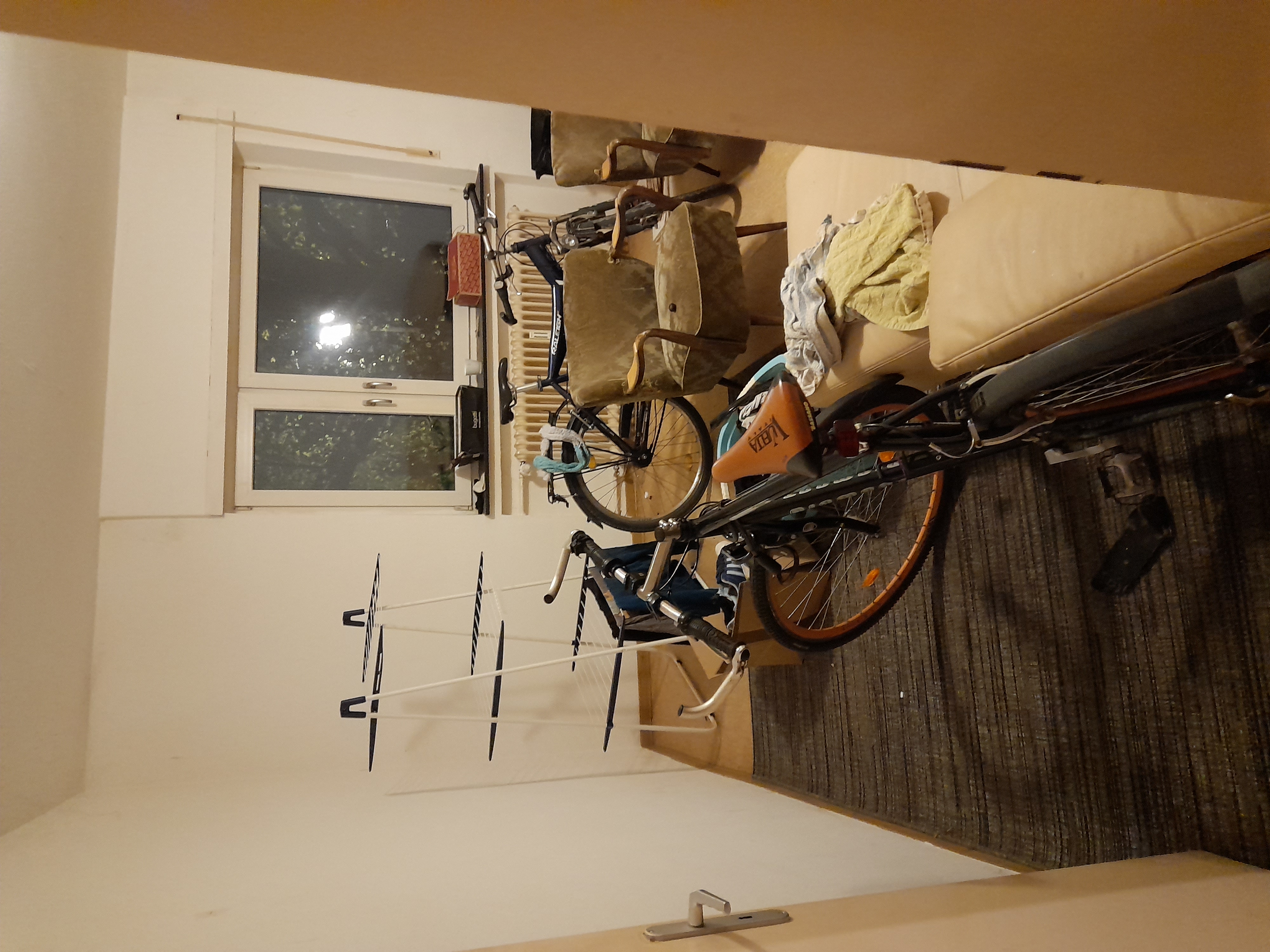 Image 20240410_055009