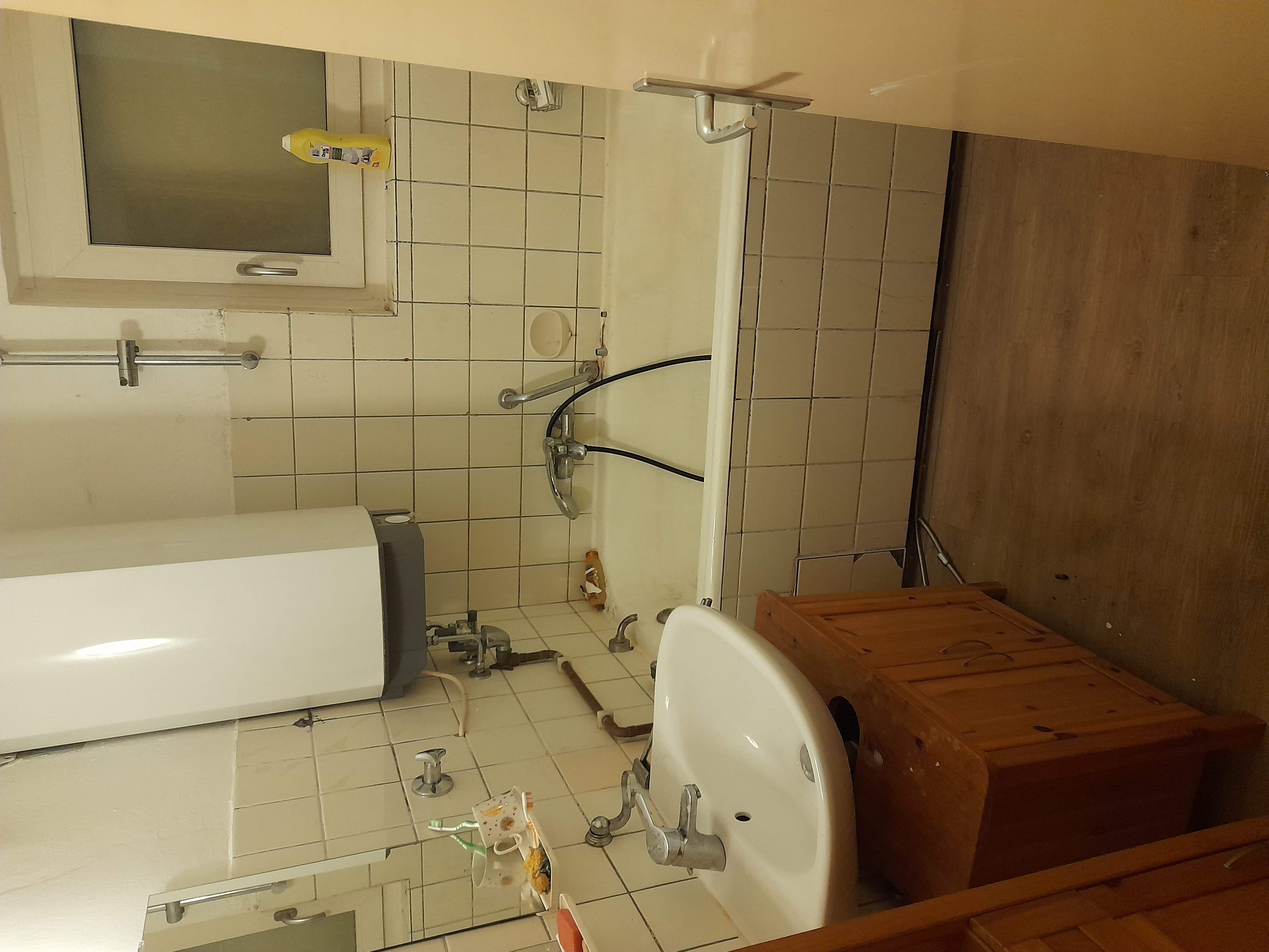 Image 20240410_055019