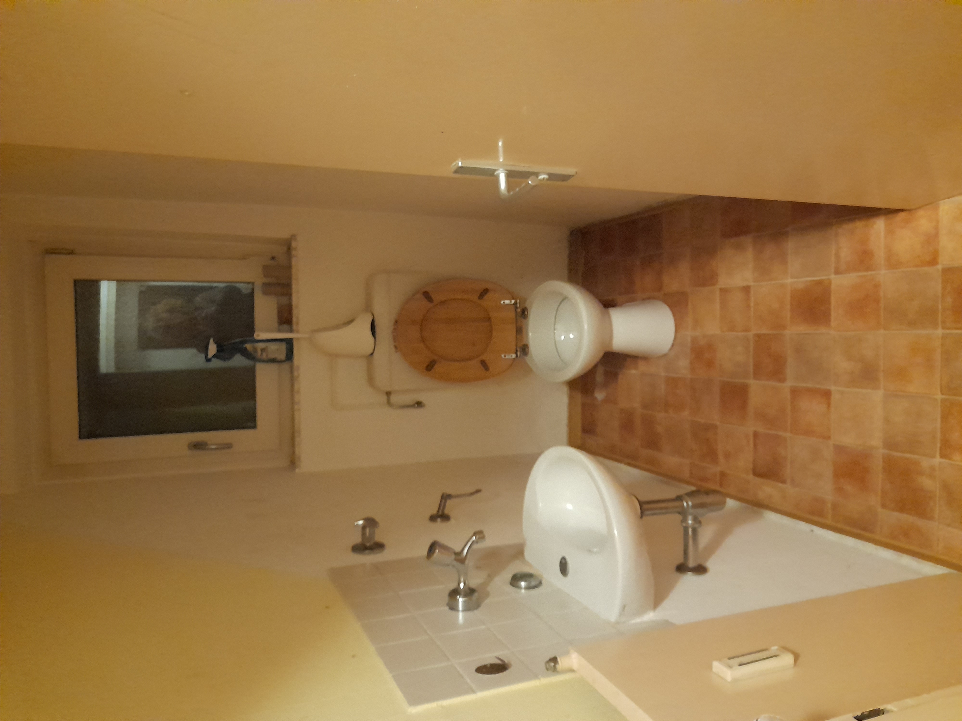 Image 20240410_055023