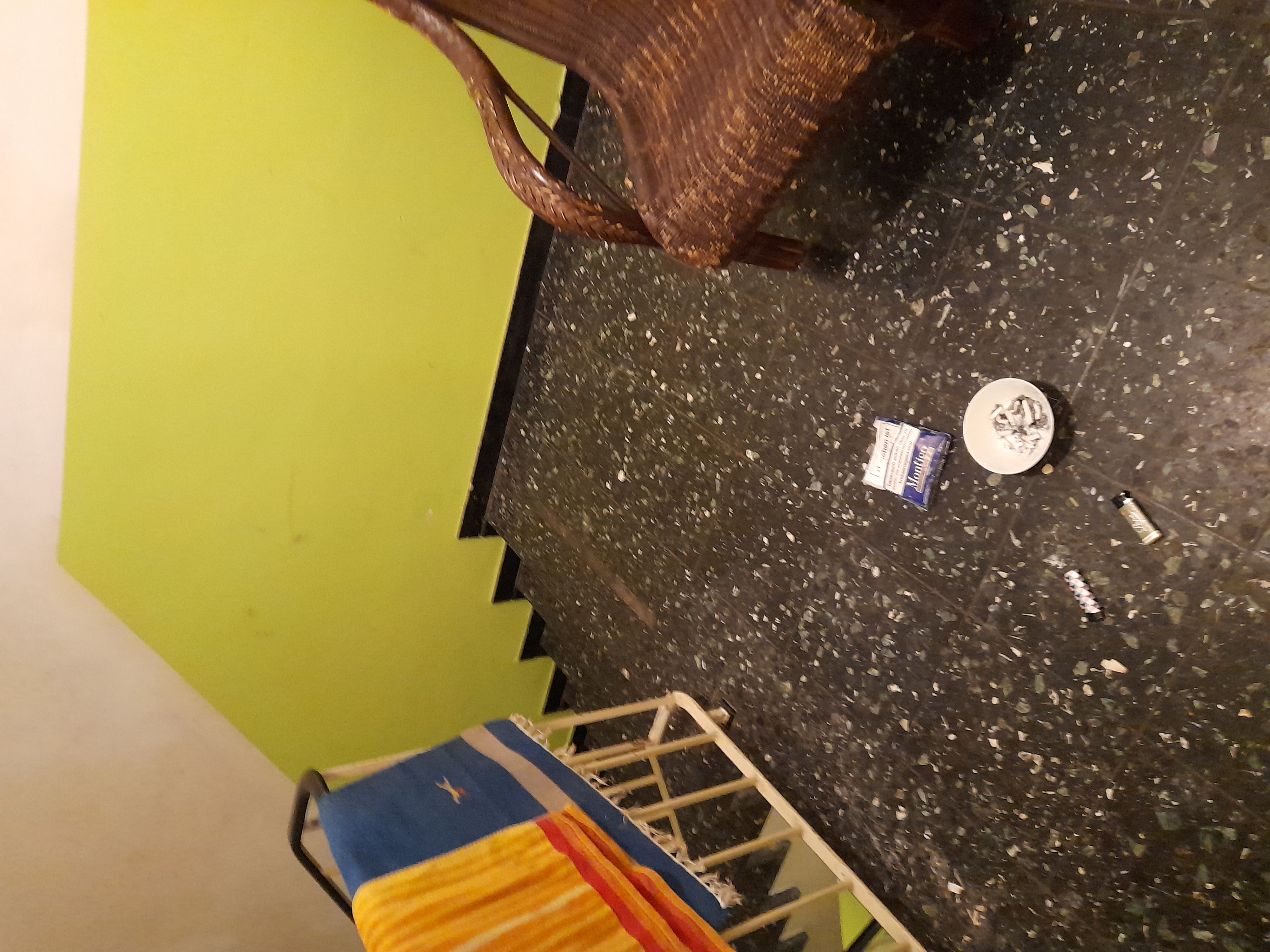 Image 20240410_055042