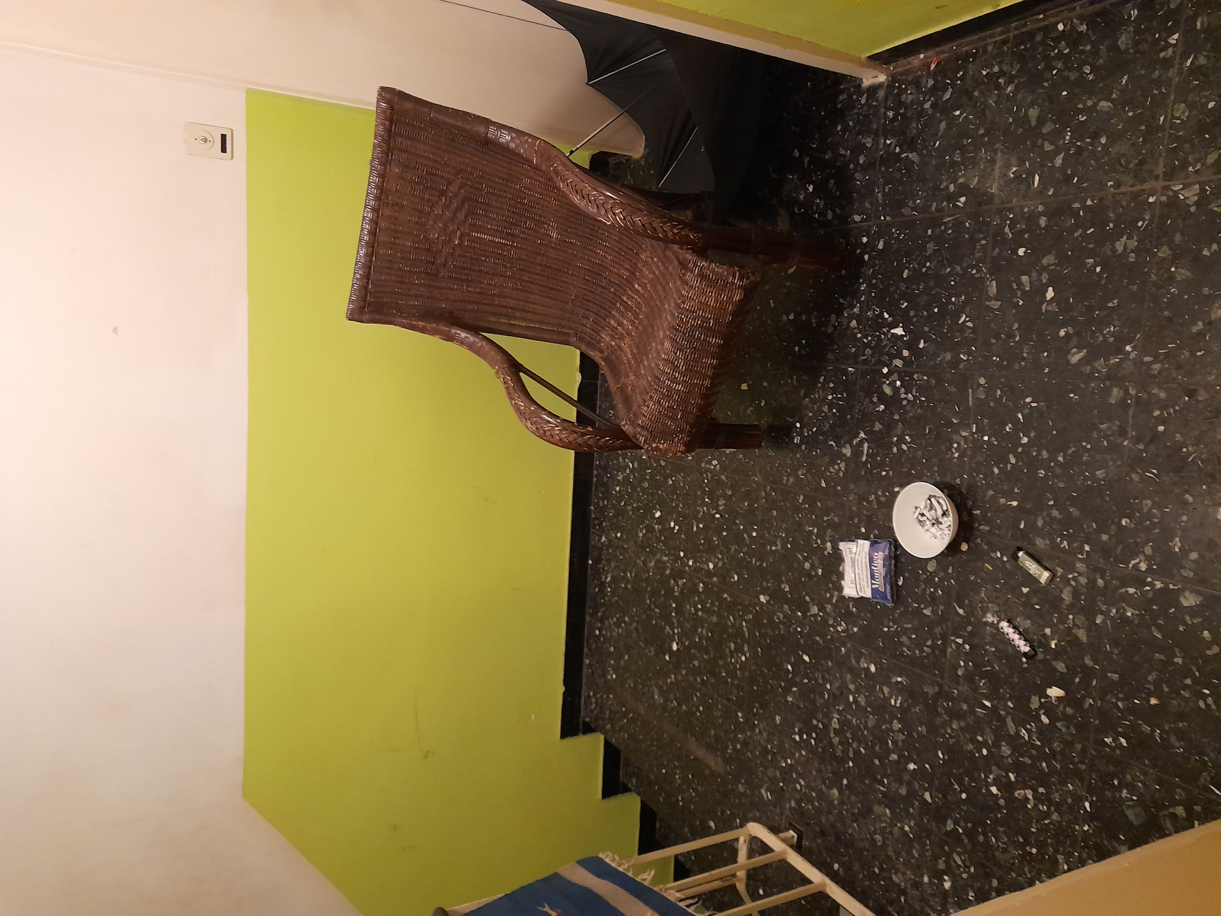 Image 20240410_055045