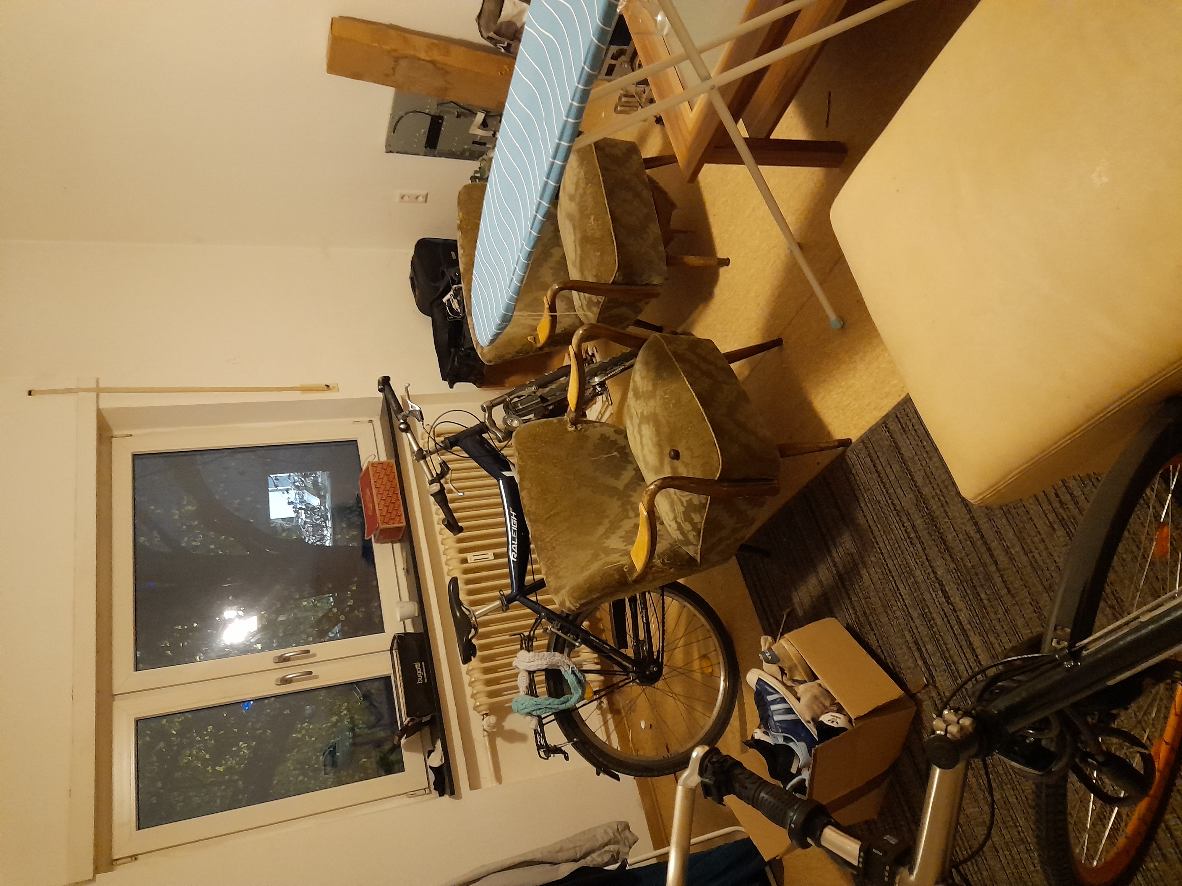 Image 20240410_060954