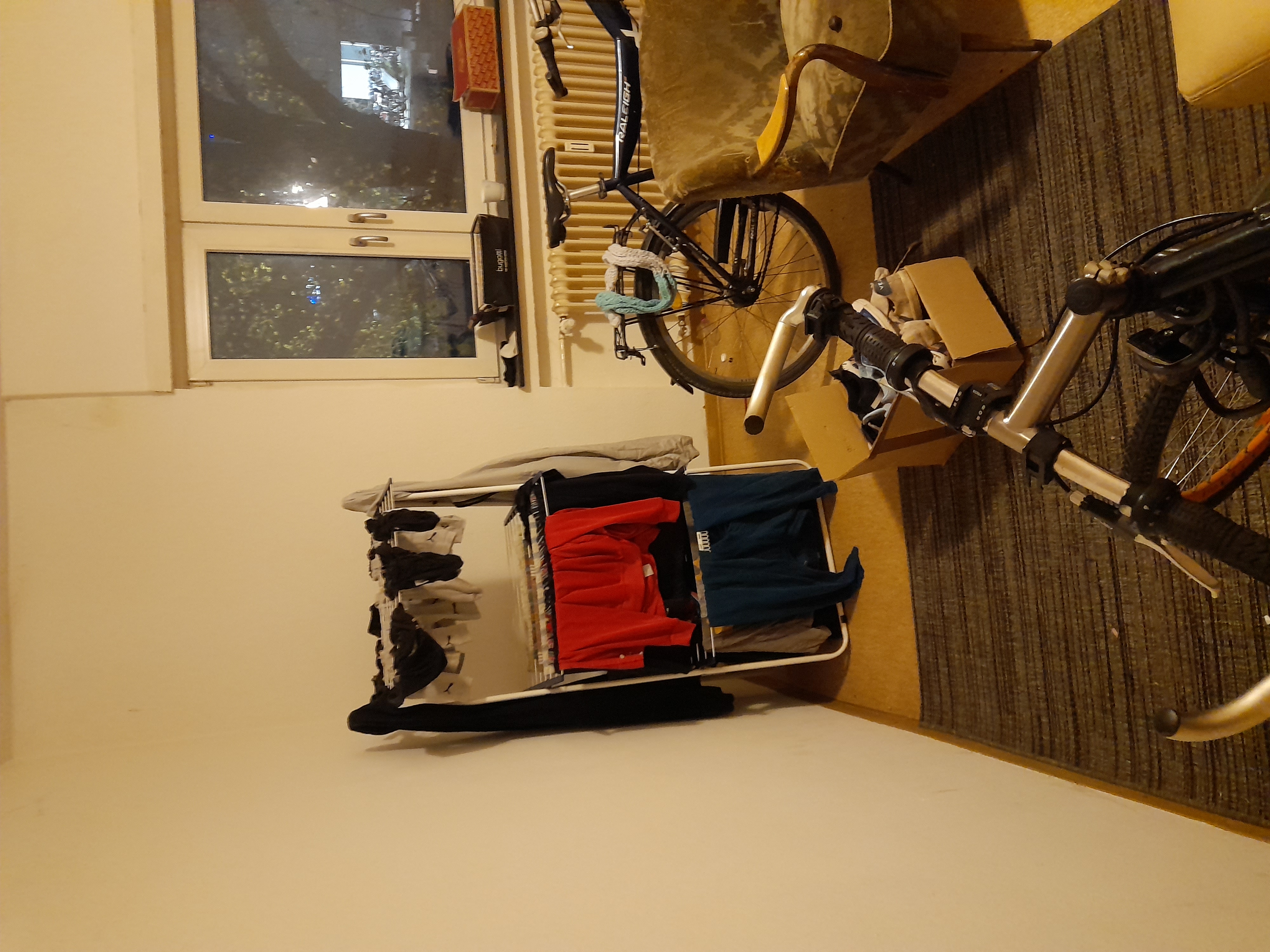 Image 20240410_060958