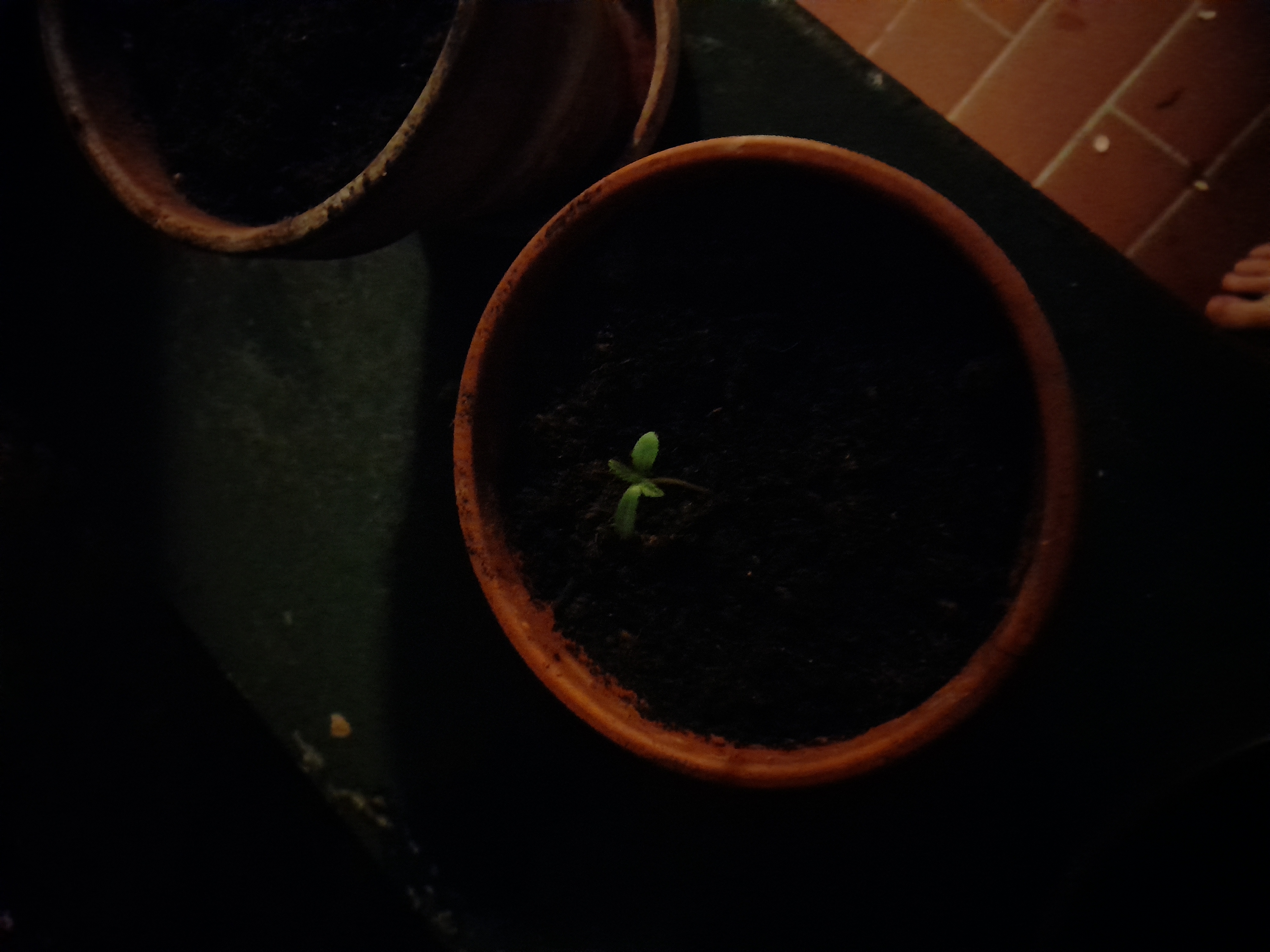 Image 20240414_033124