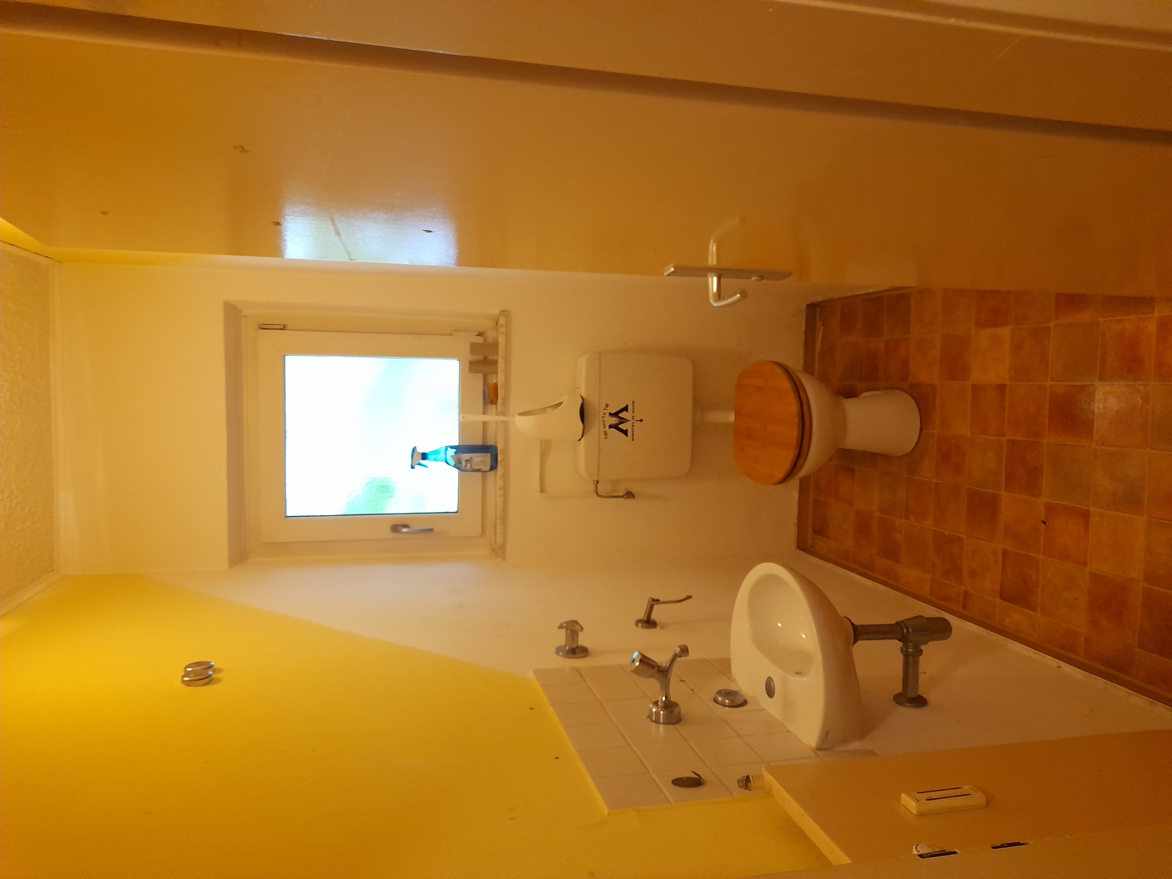 Image 20240419_104027