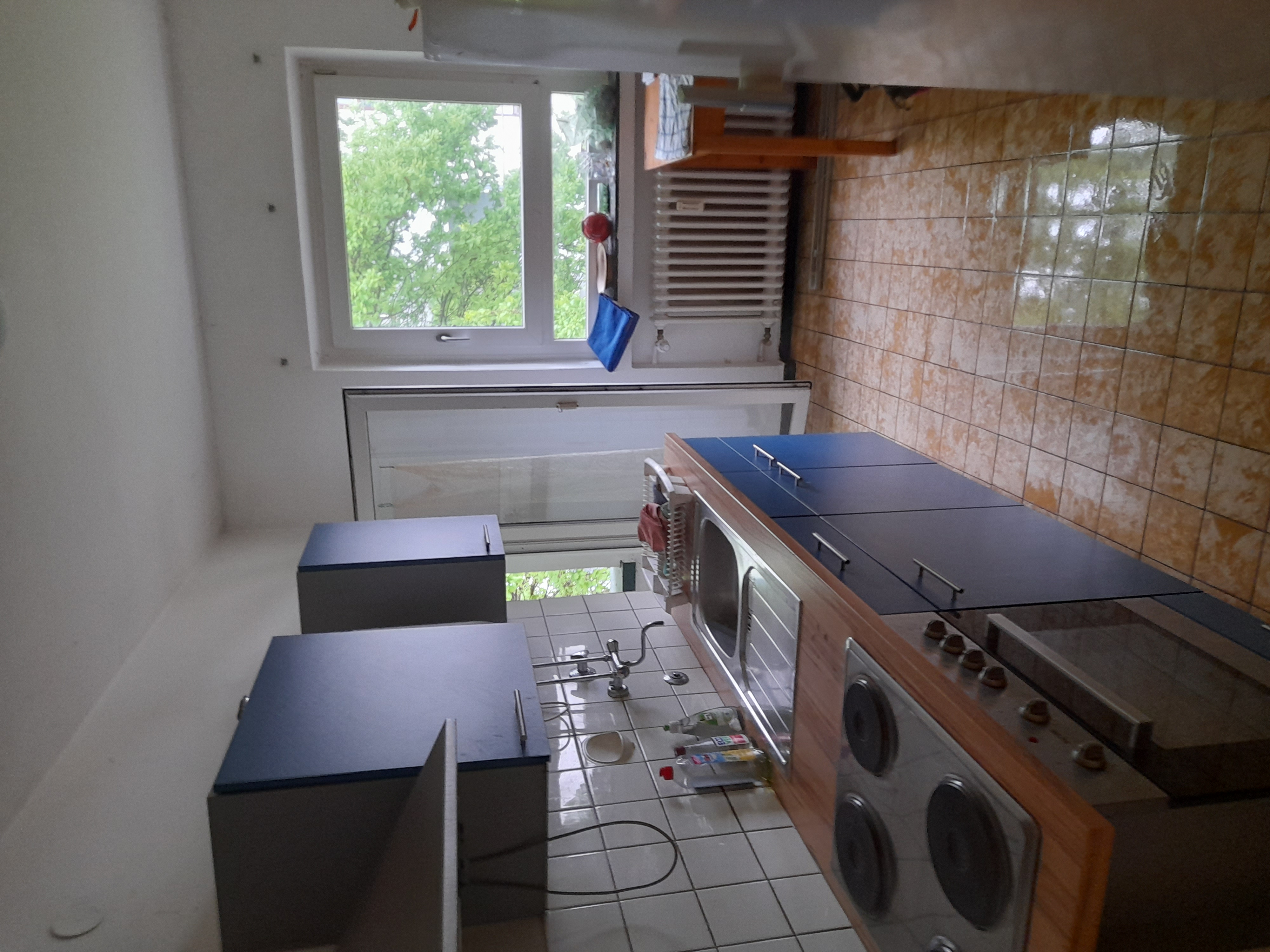 Image 20240419_104031