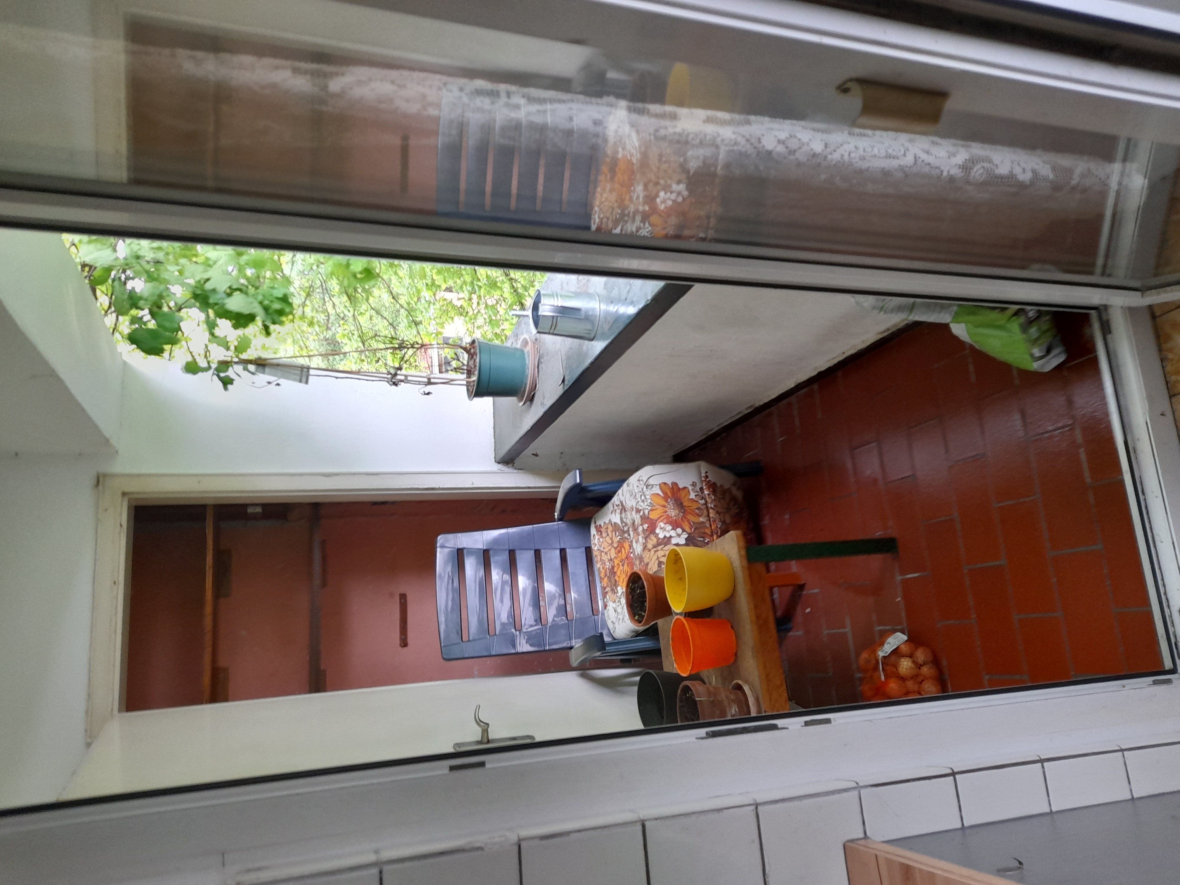 Image 20240419_104036