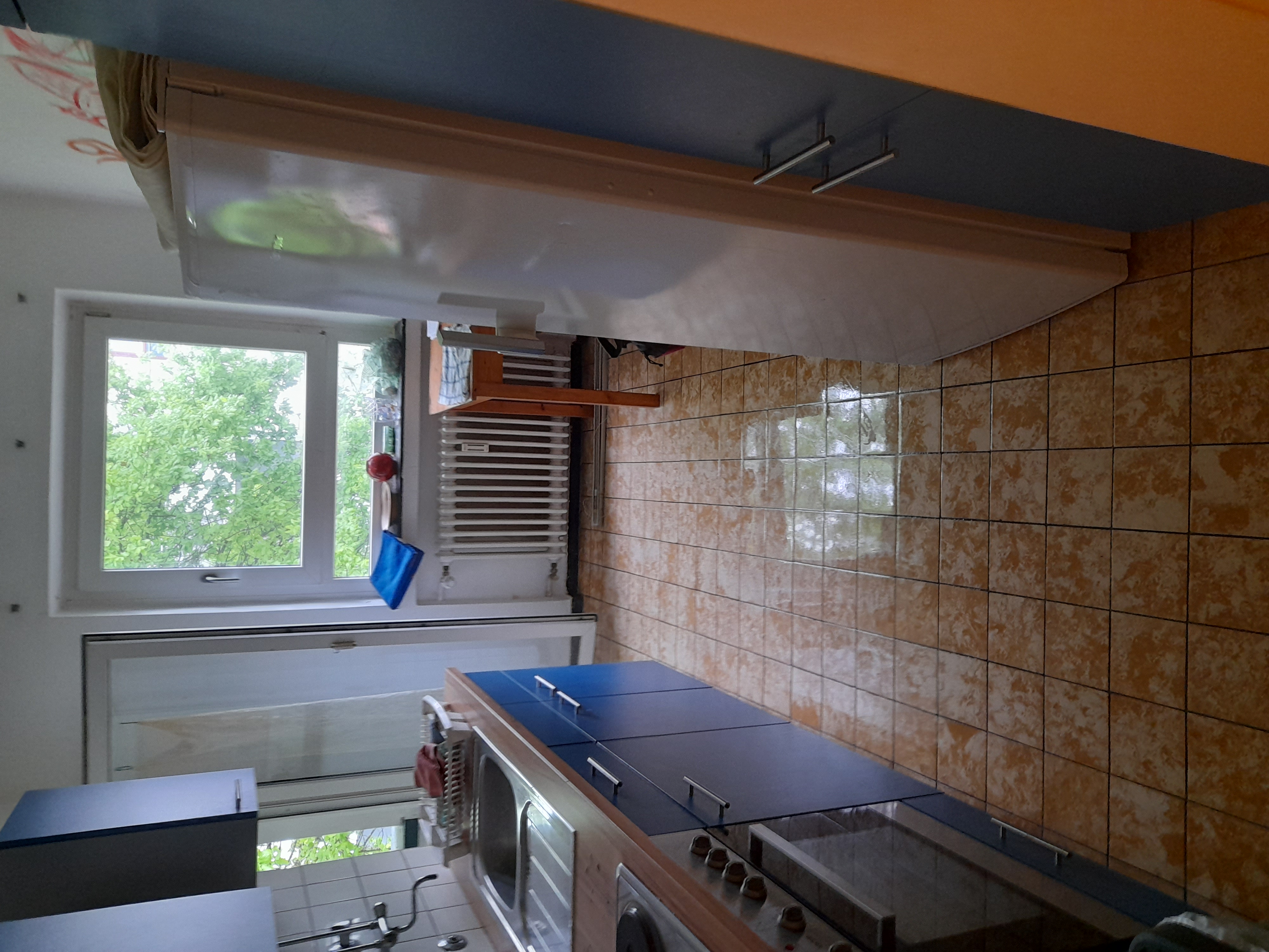 Image 20240419_104044