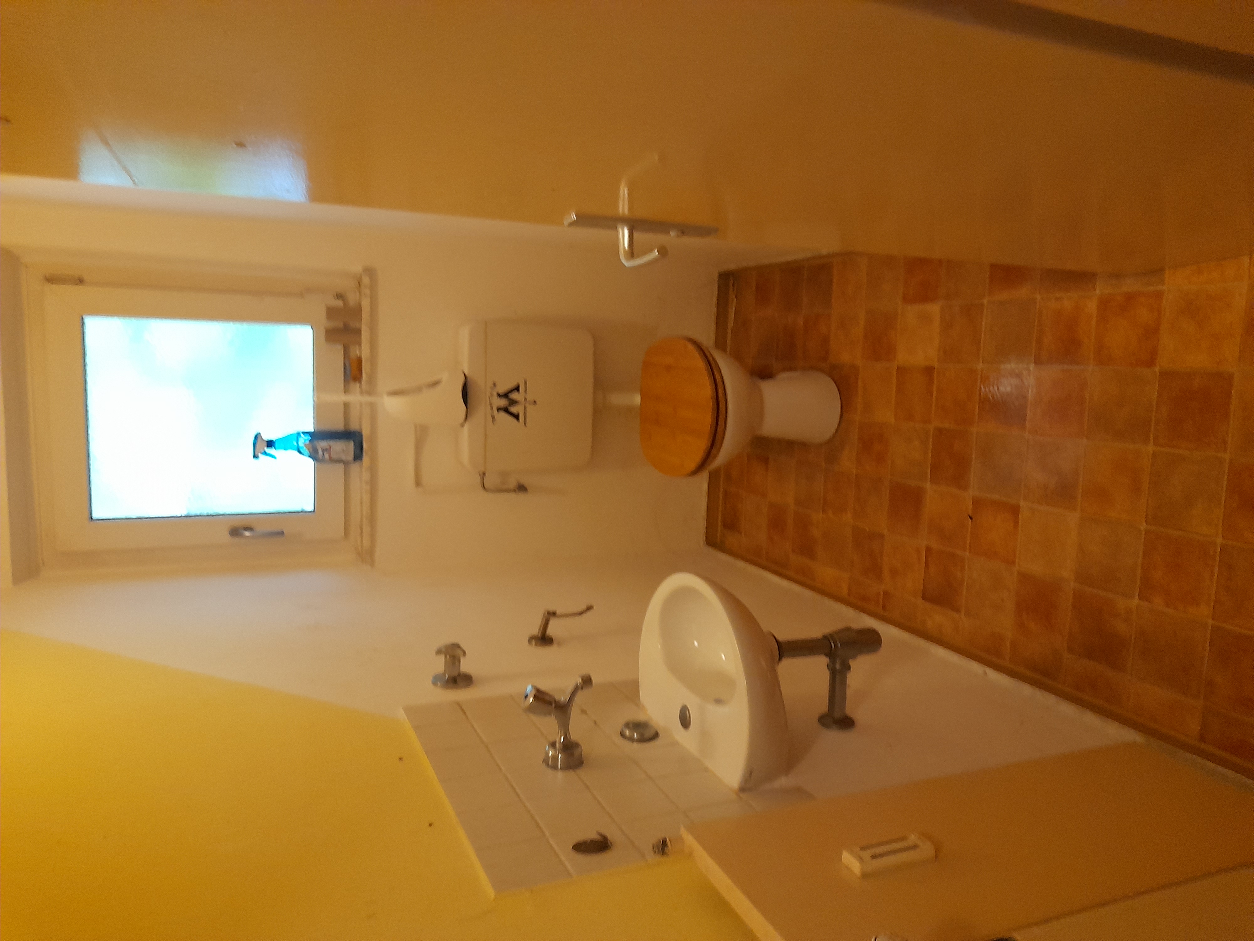 Image 20240419_104047