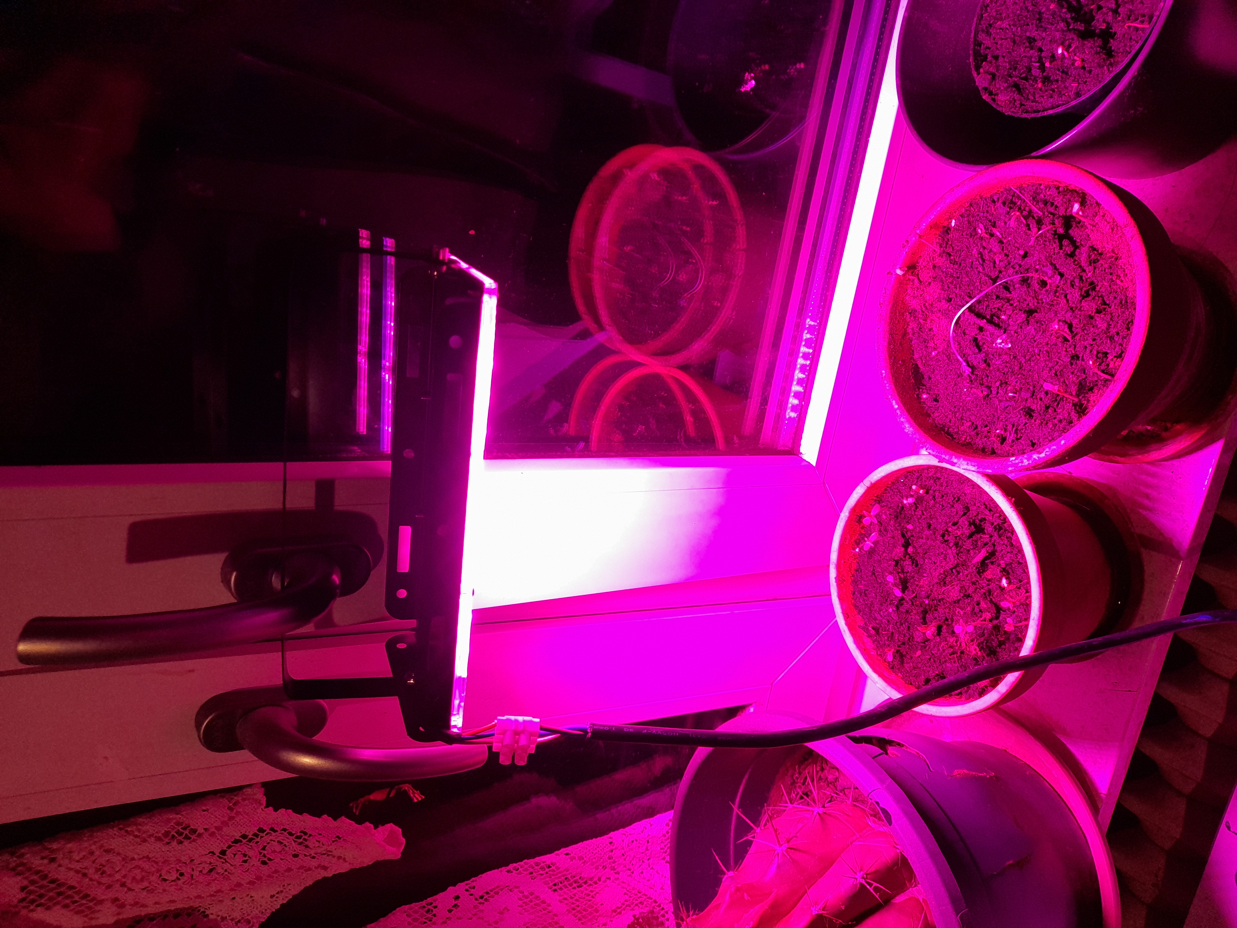 Image 20240421_220006