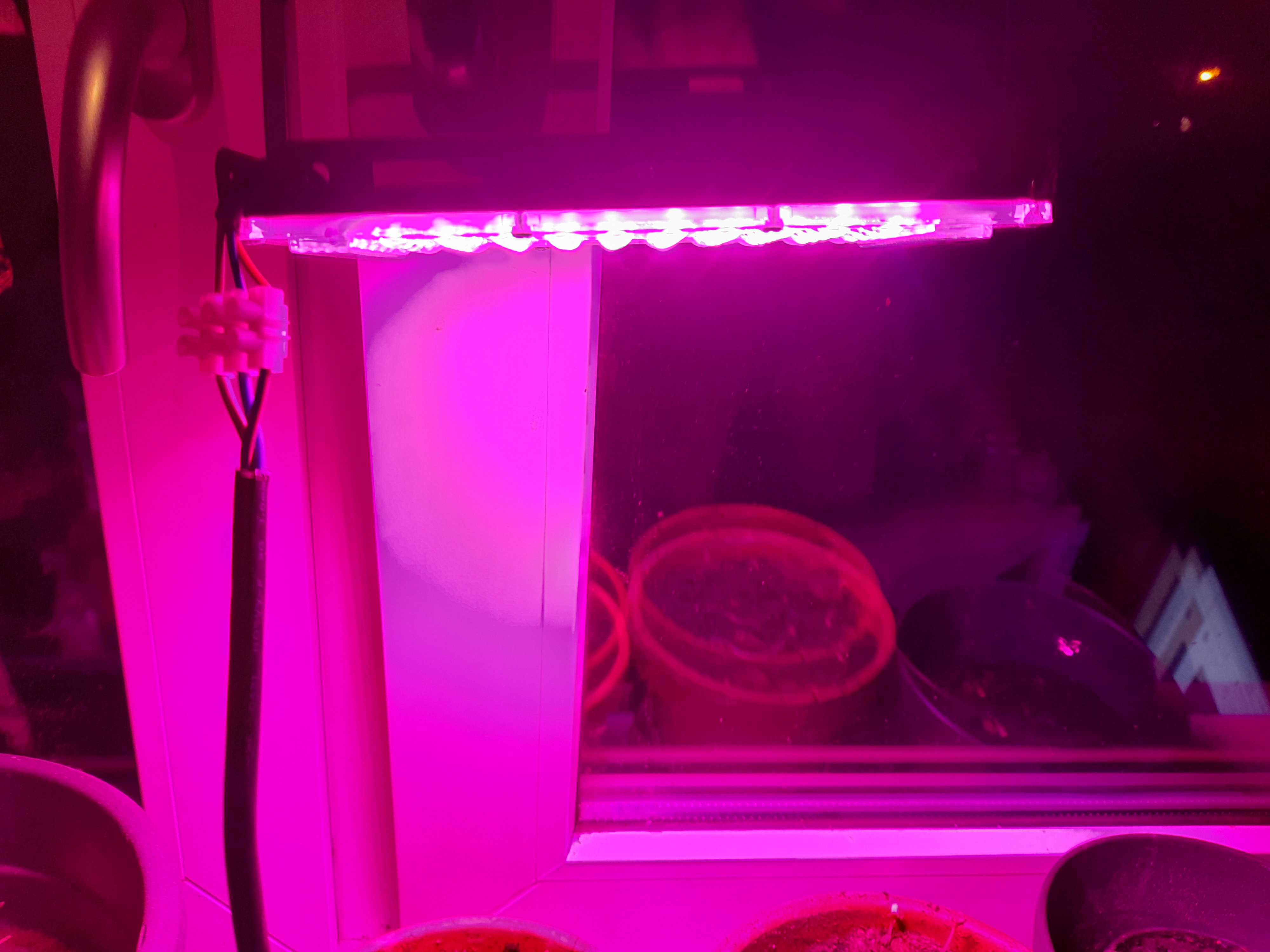 Image 20240421_220013