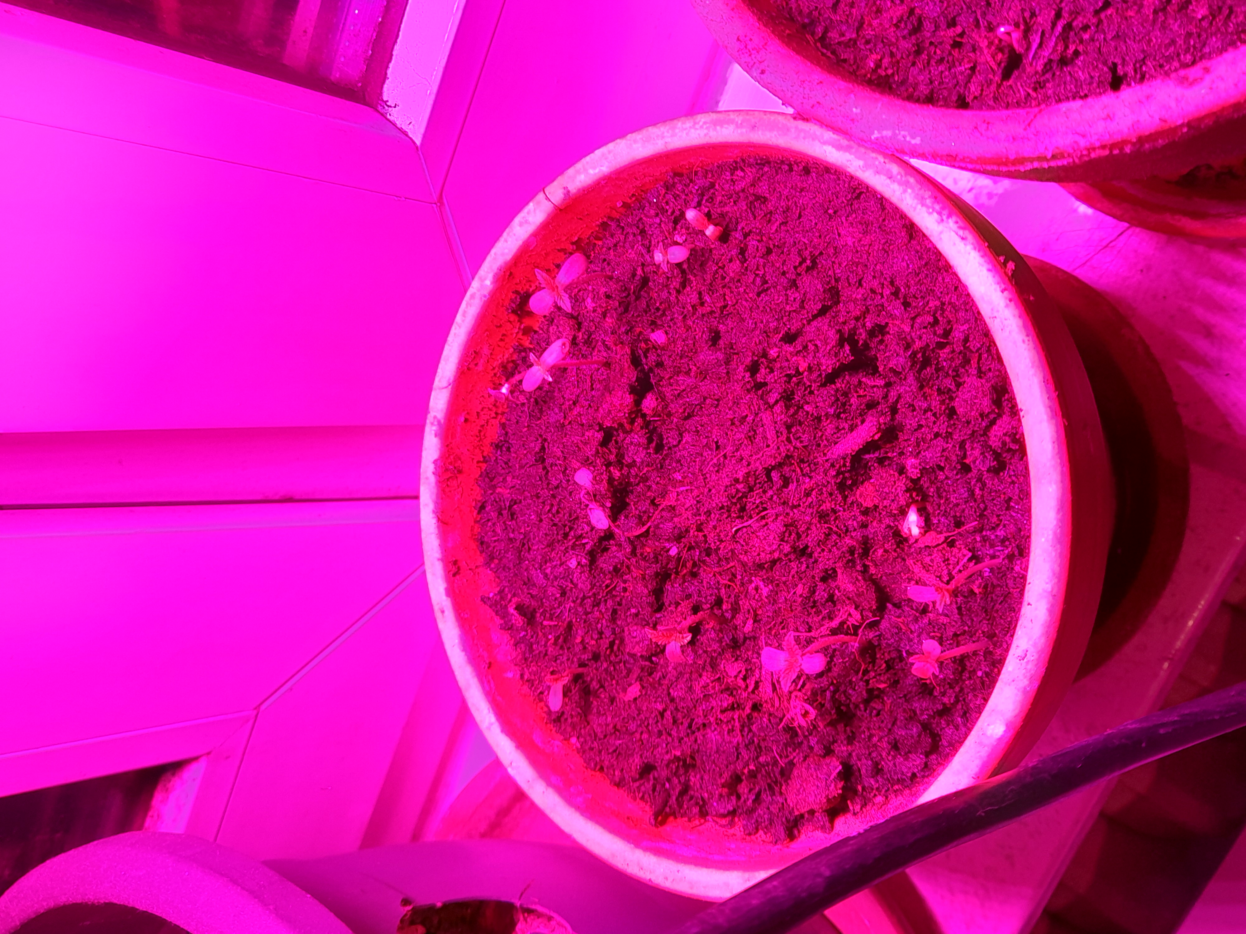 Image 20240421_220018