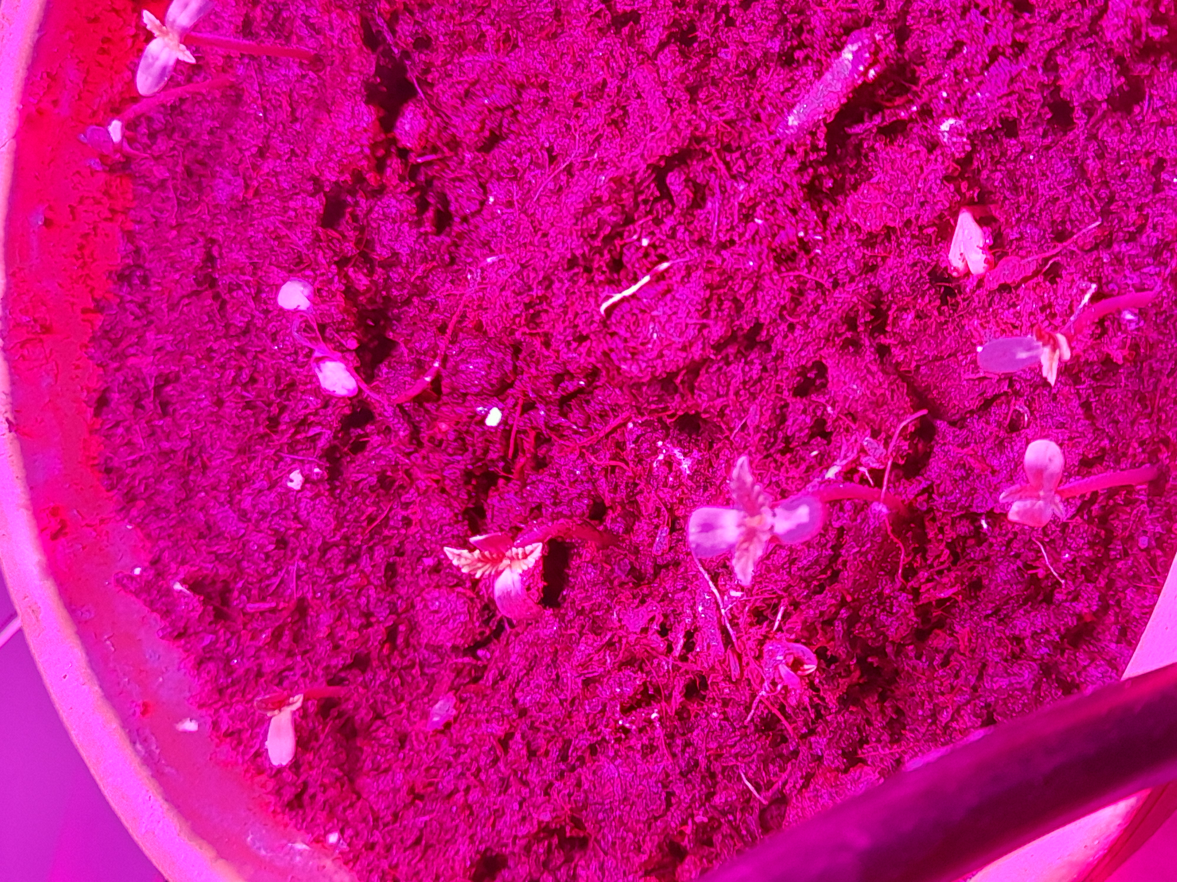 Image 20240421_220058