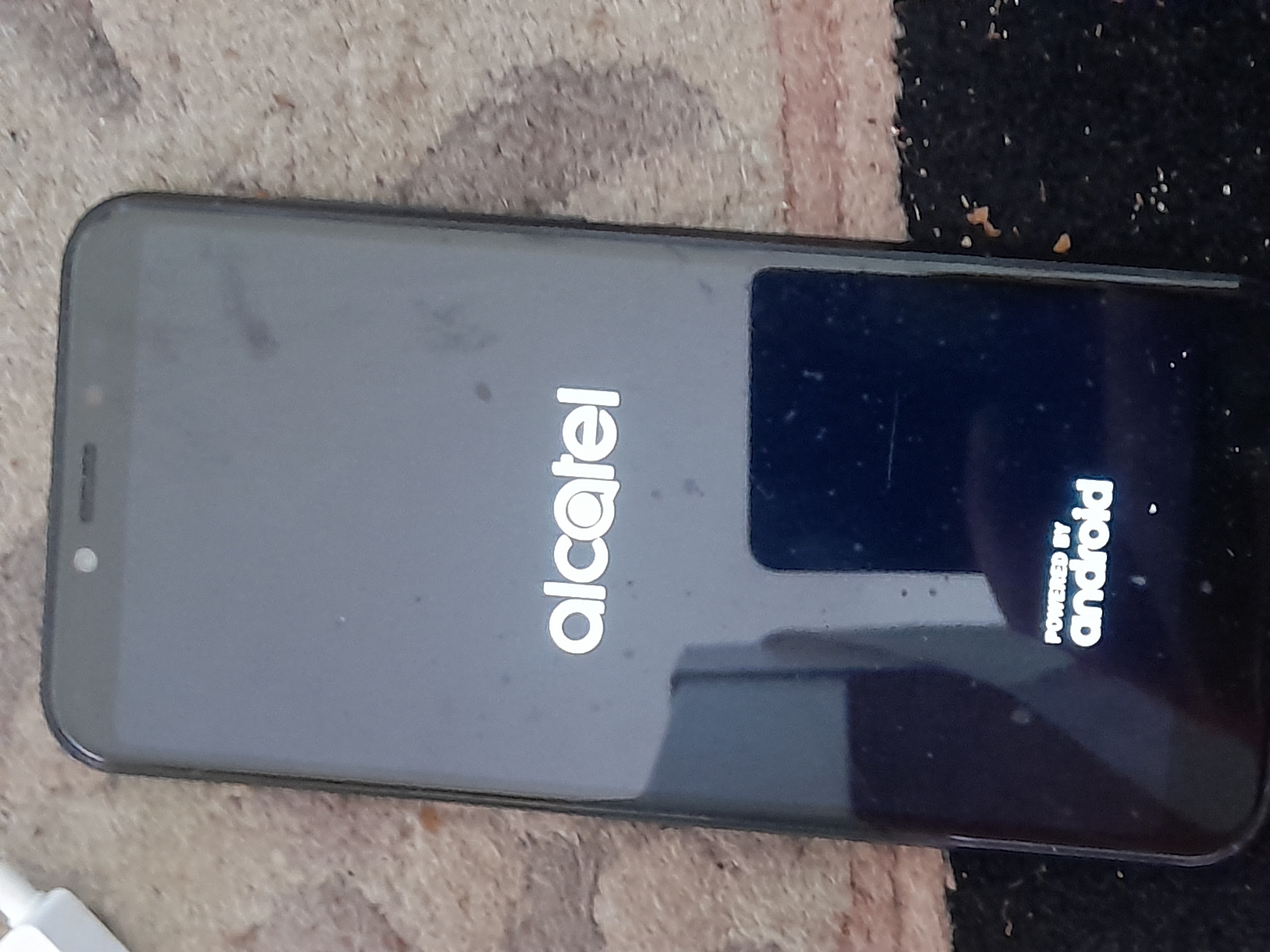 Image 20240423_083656