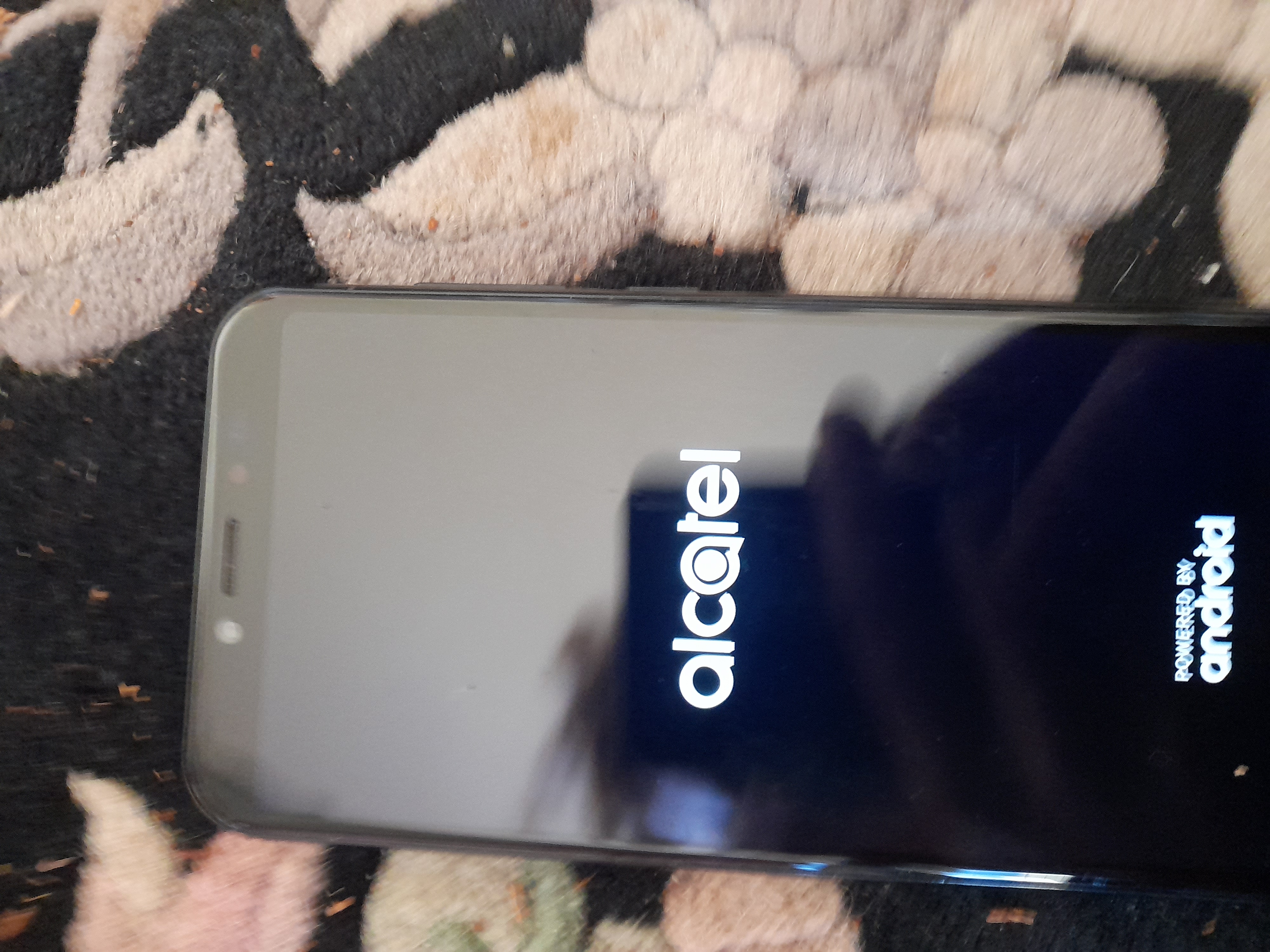 Image 20240423_094226