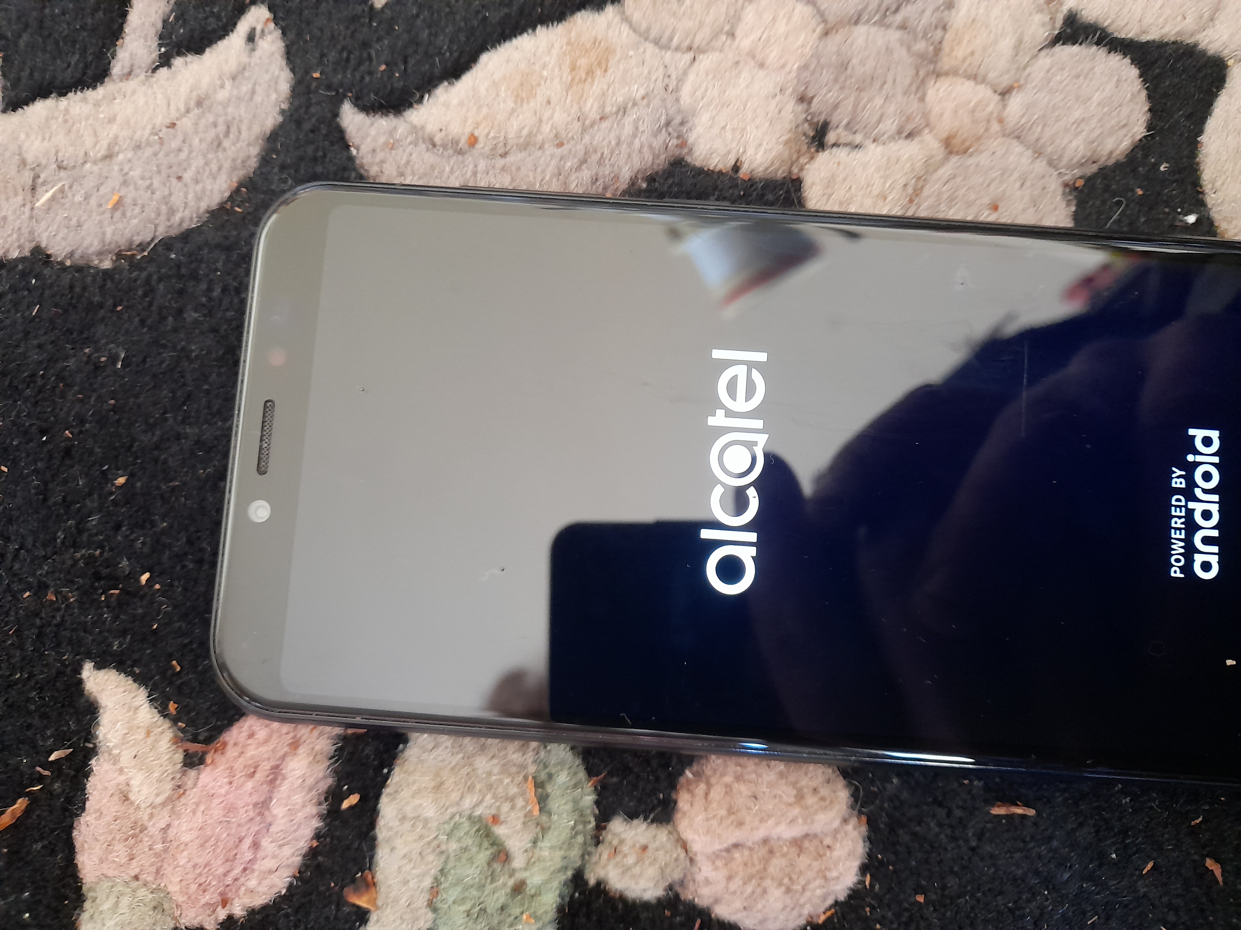 Image 20240423_094228