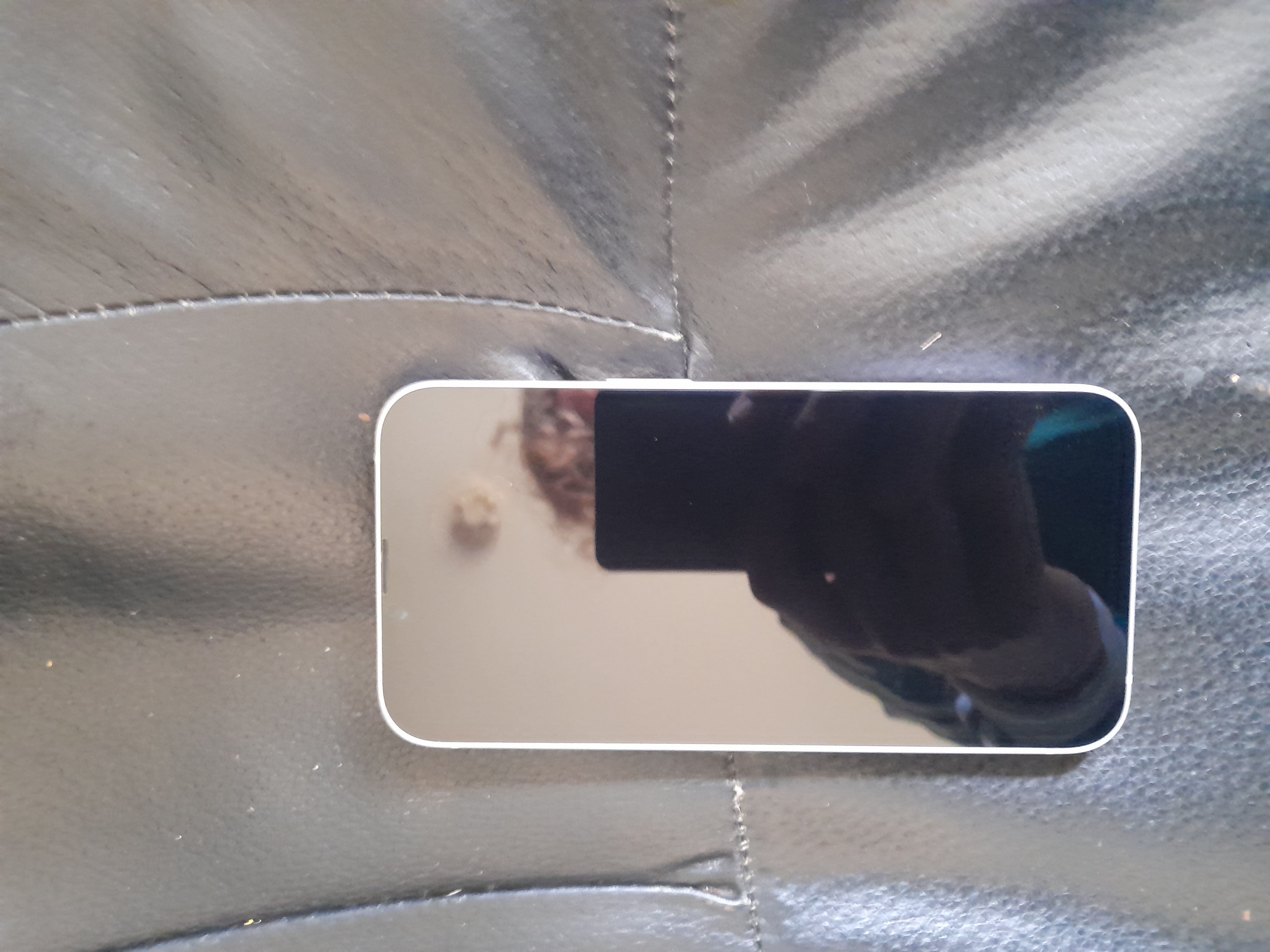 Image 20240613_132233