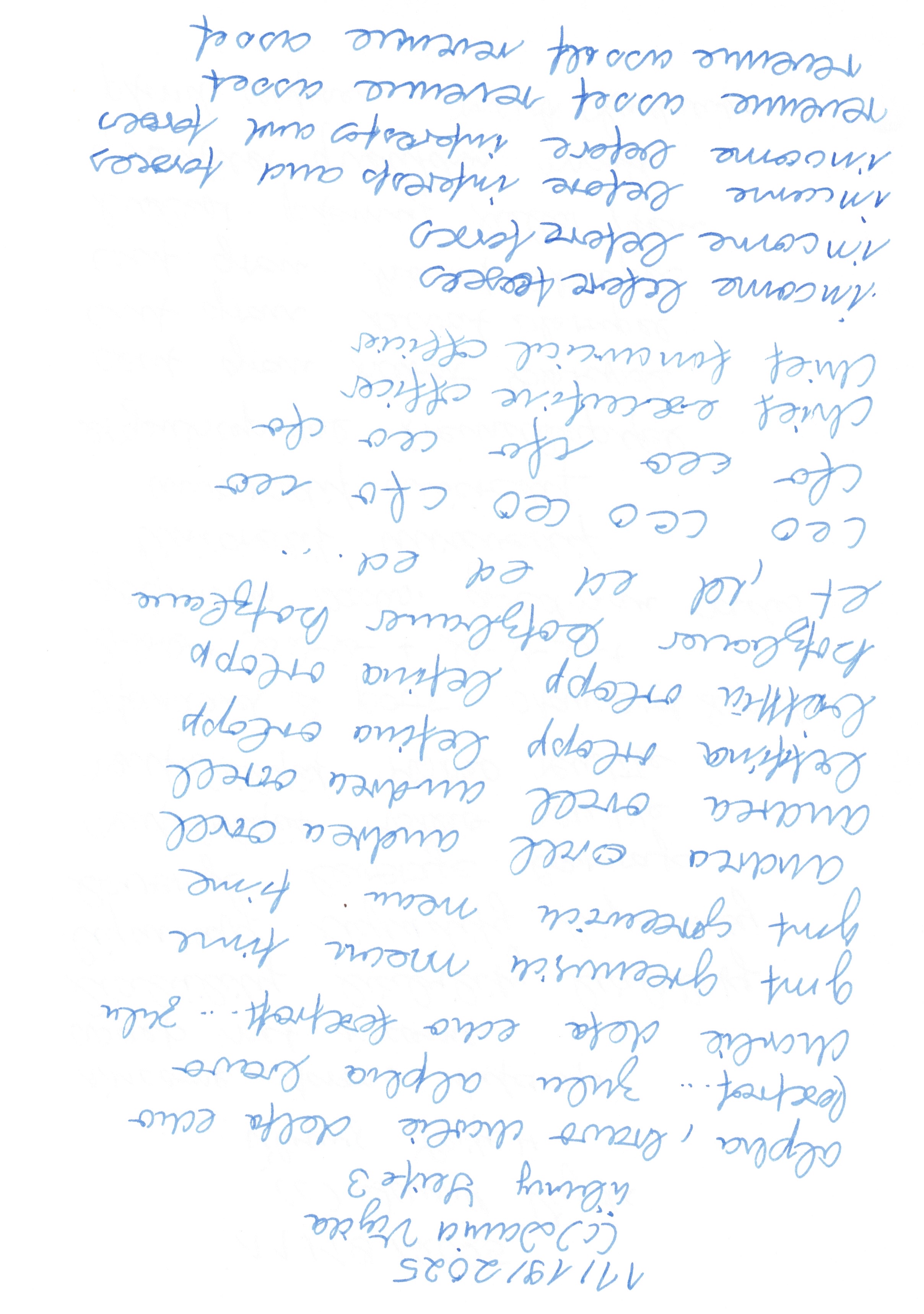 Image 202511301937_133