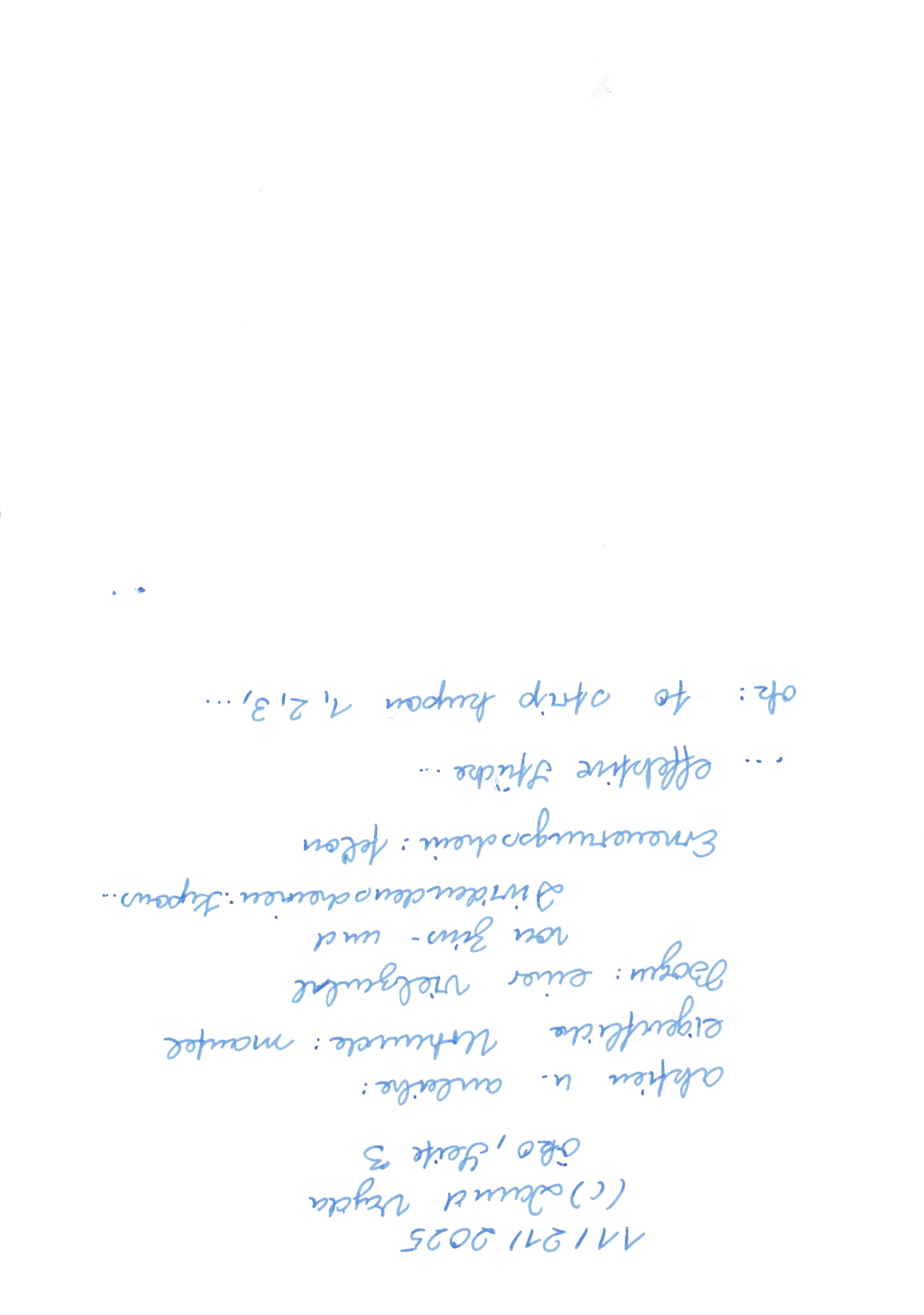 Image 202512112045_17