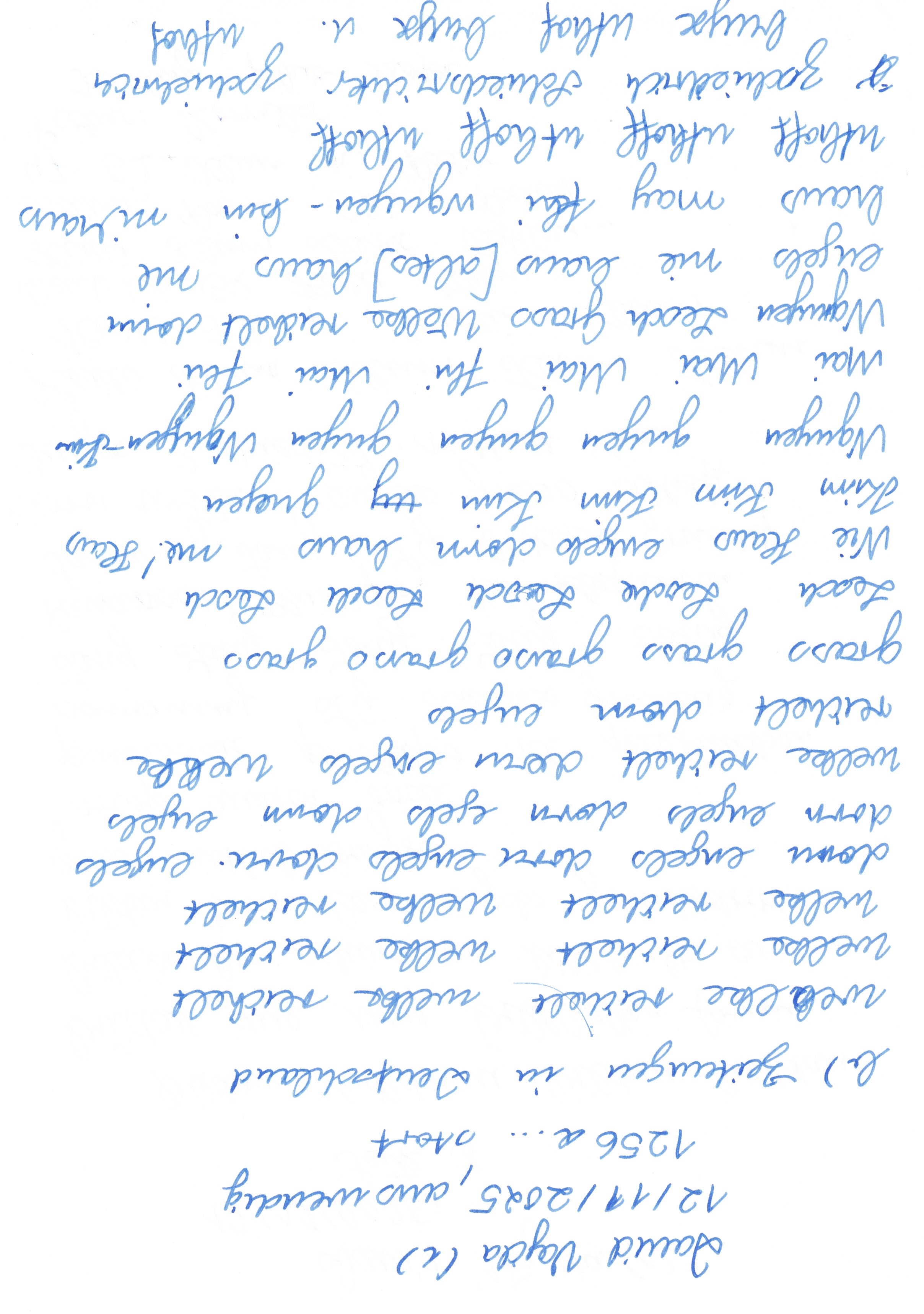 Image 202512112045_40