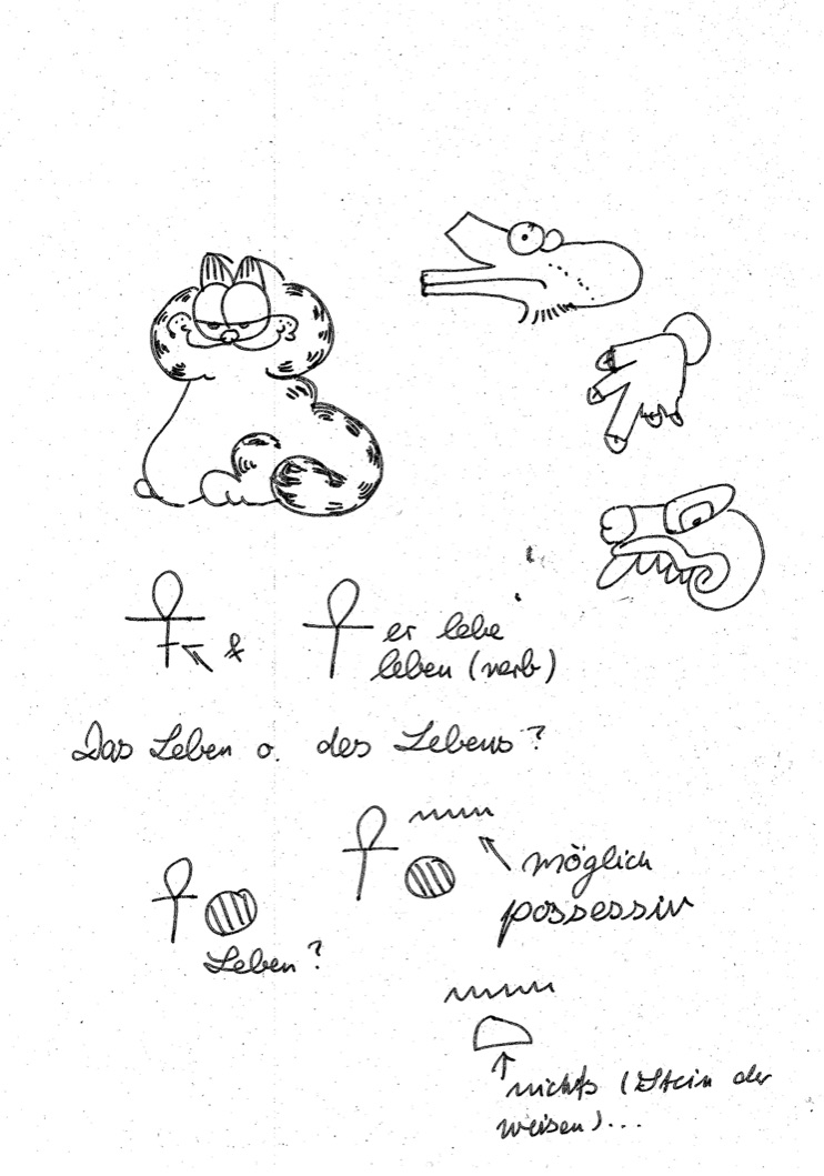 Image 0D1A2534-0ECA-44E5-BC91-B7A48D764F7A_1_105_c