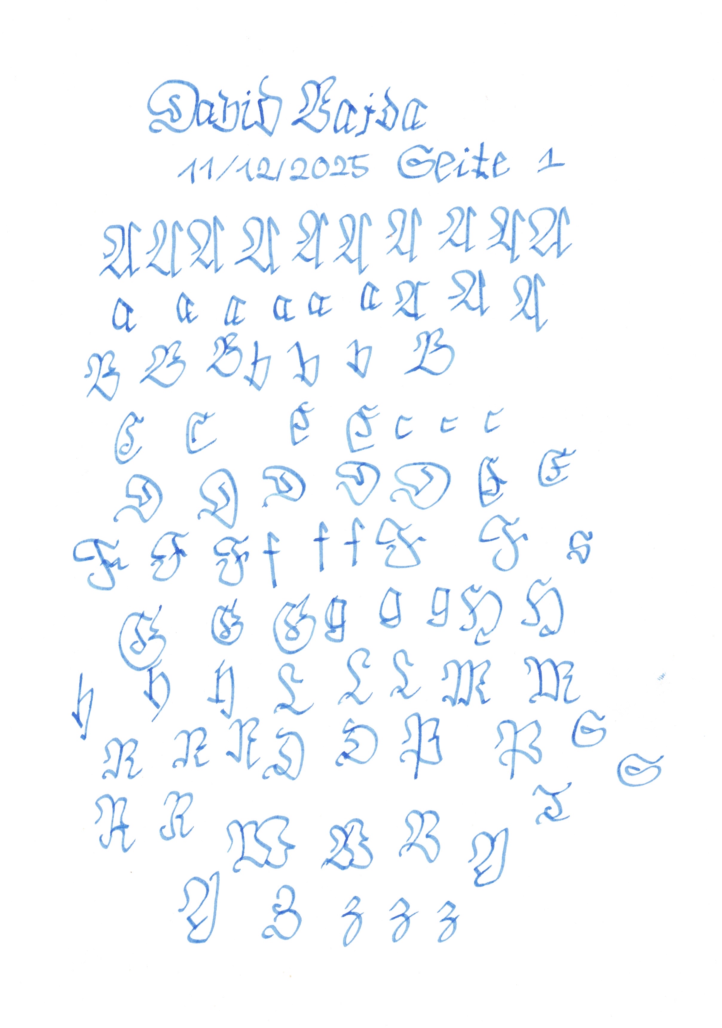 Image 202511121438_1