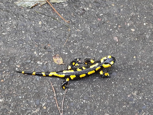 Image 20211020_132725