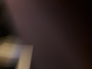 Image fsm-2021-06-03-40